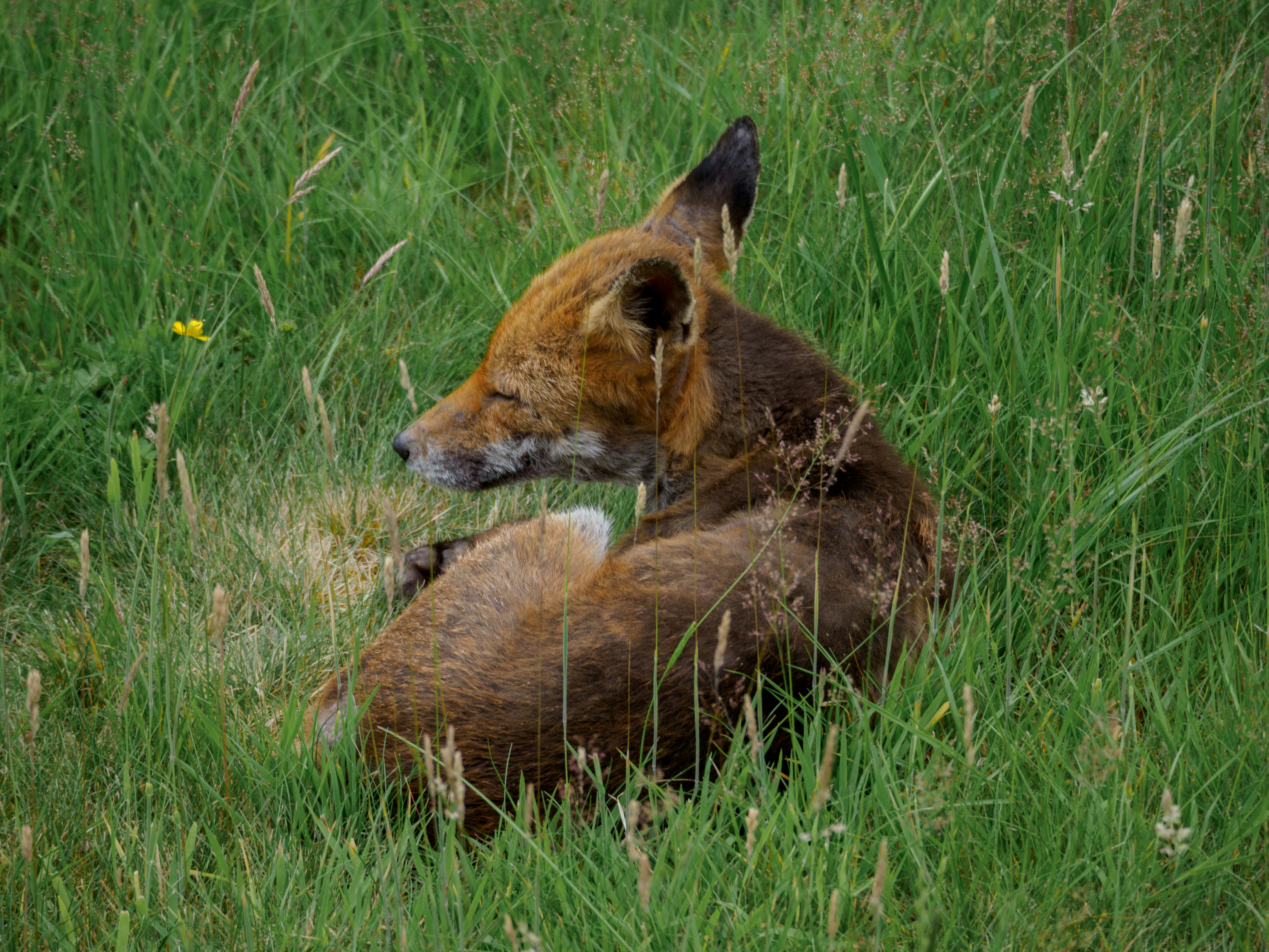 Photo by brett_jordan