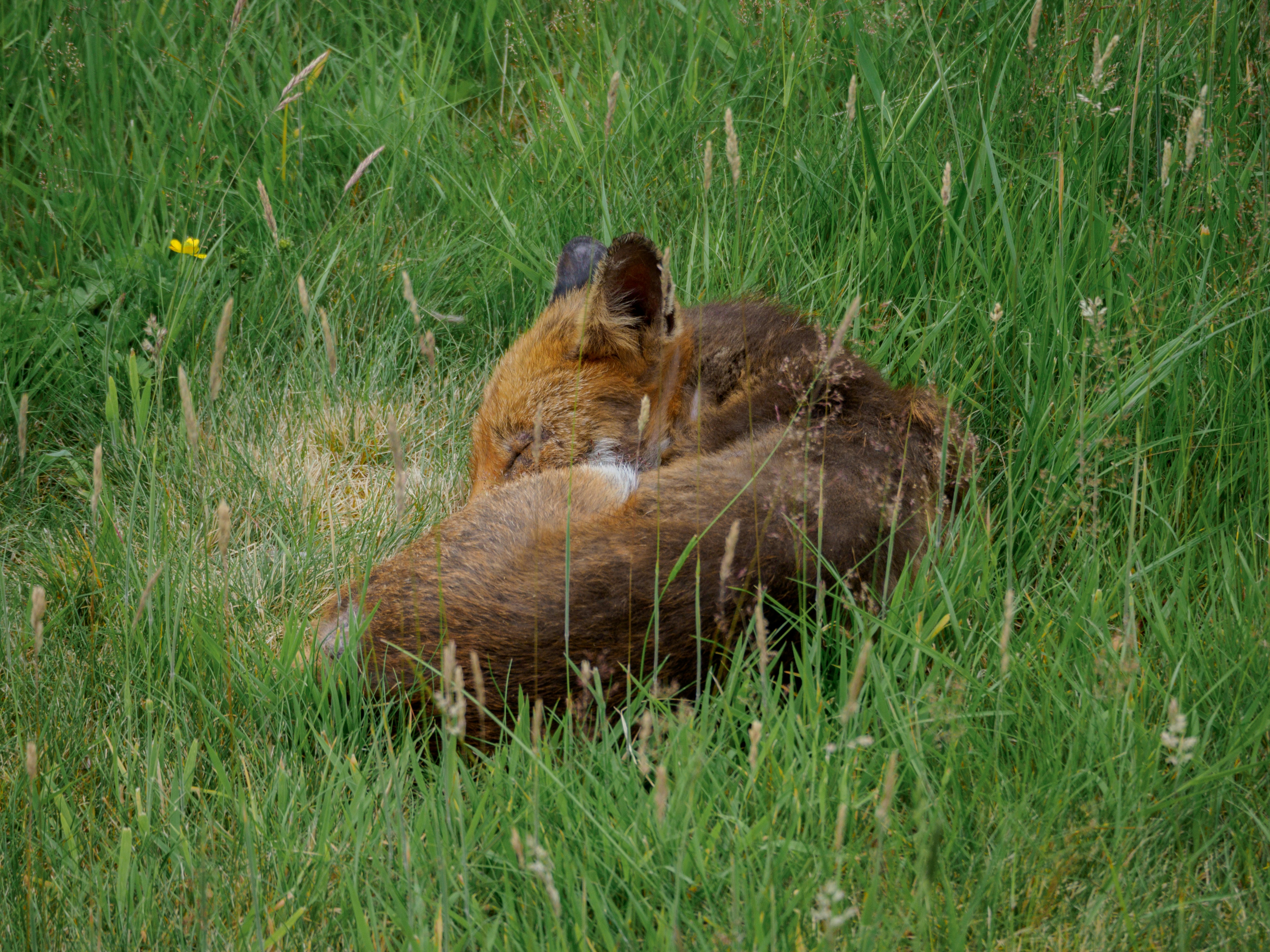 Photo by brett_jordan