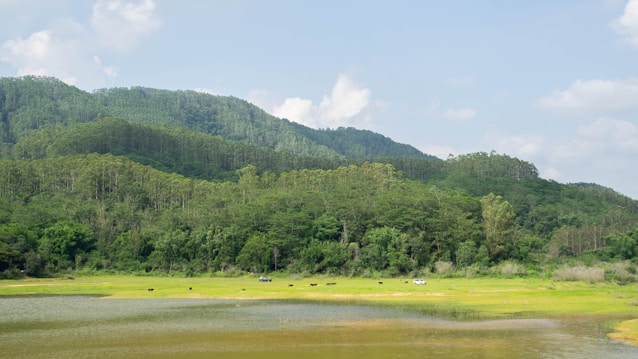 A serene landscape featuring lush green hills covered in dense forest, a calm body of water in the foreground, and a few scattered small animals grazing on the grassy area near the shore. The sky is light blue with scattered fluffy clouds.