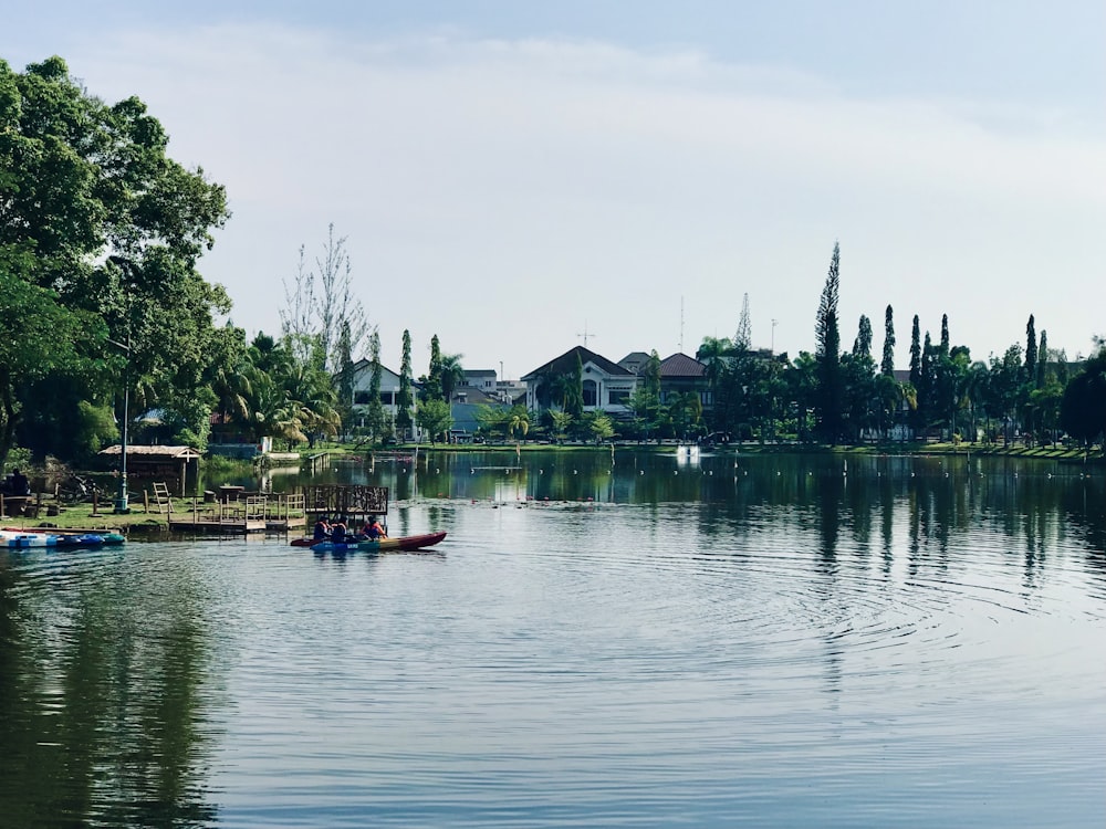 green trees near body of water during daytime