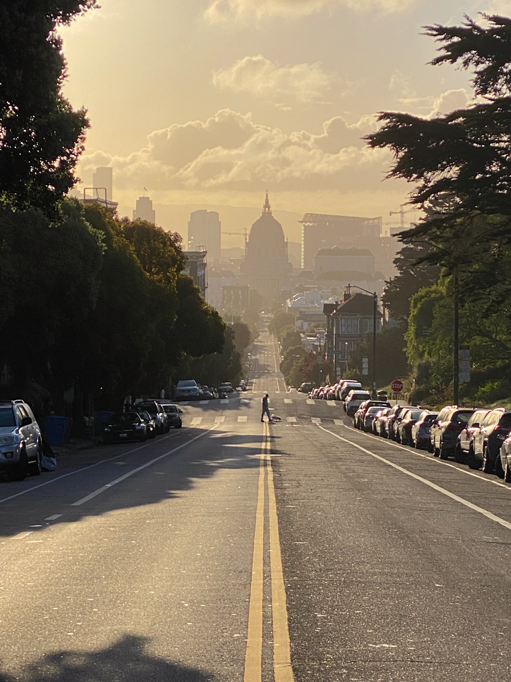 cars parked on the side of the road during daytime