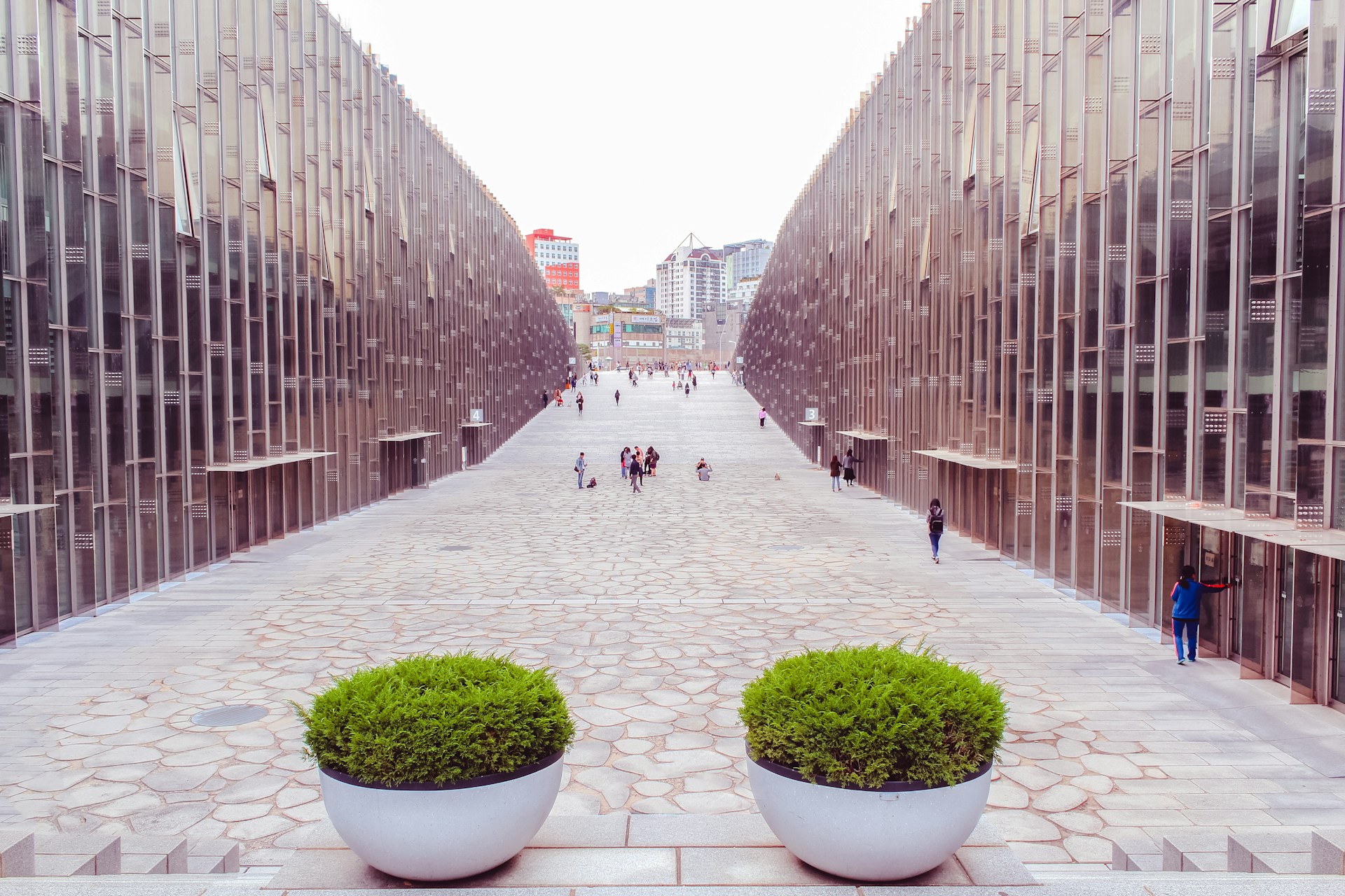 people walking on pathway between brick walls during daytime