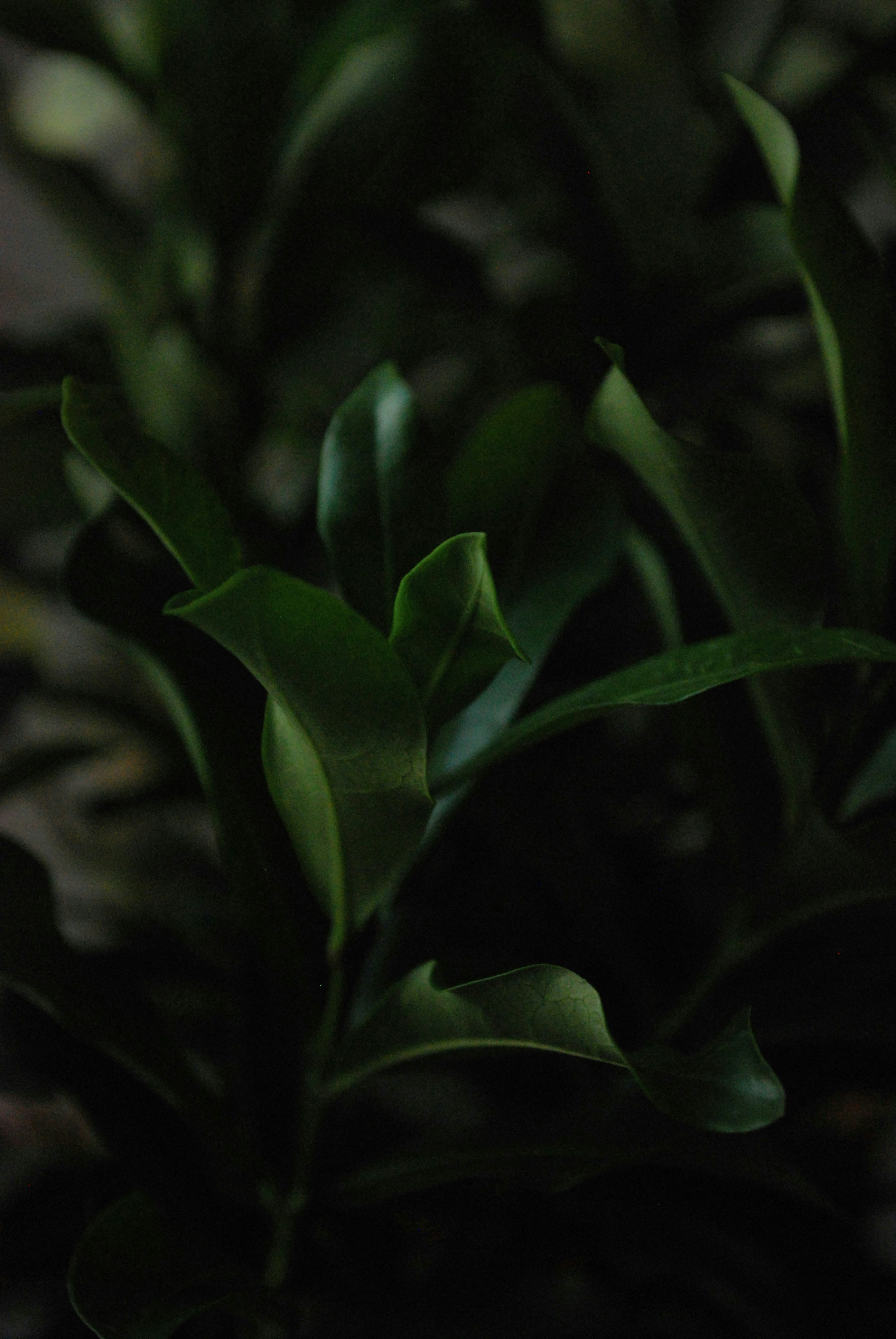 Photo by akshar_dave