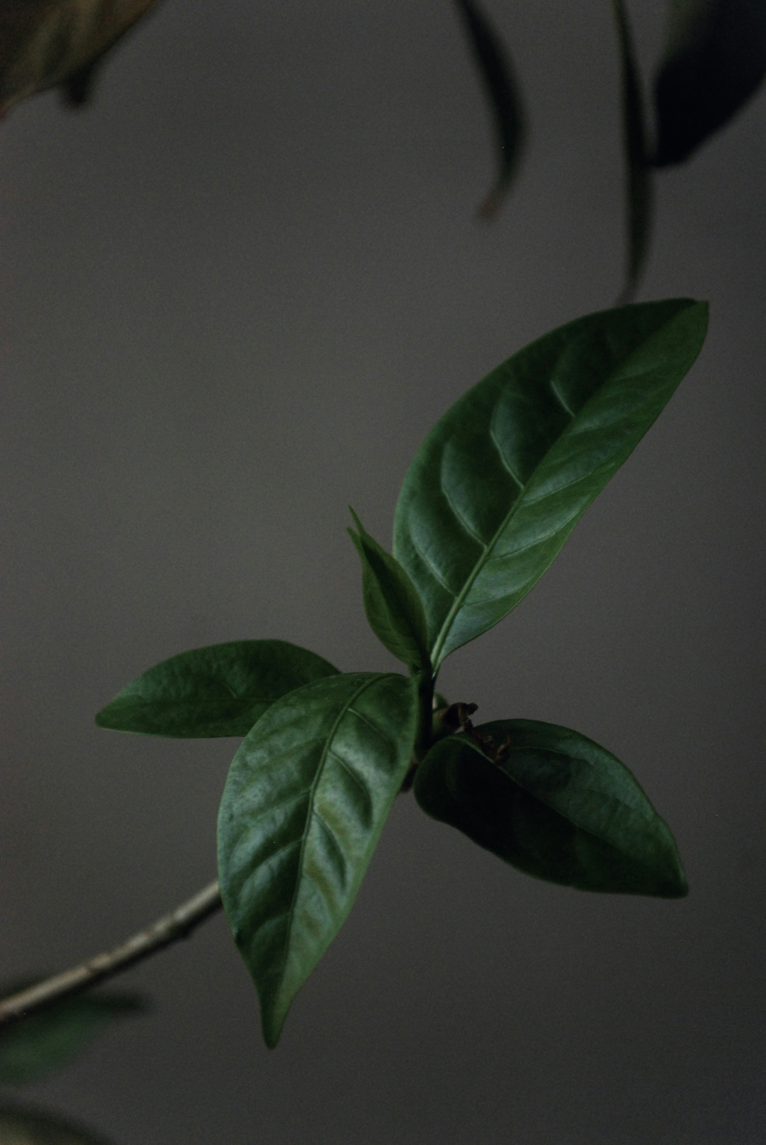 Photo by akshar_dave