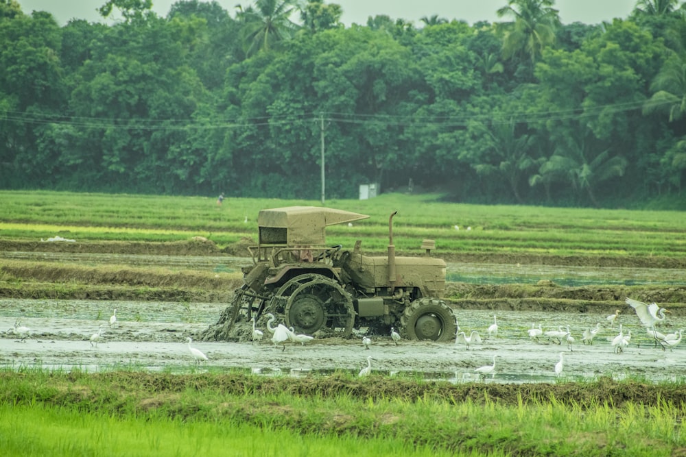 black and gray battle tank on green grass field during daytime