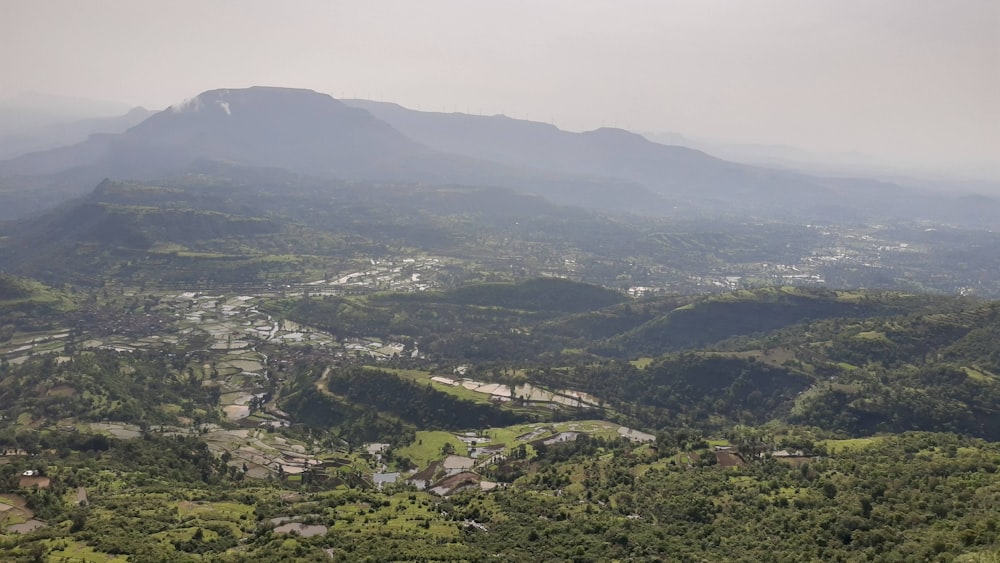 aerial view of green trees and mountains during daytime