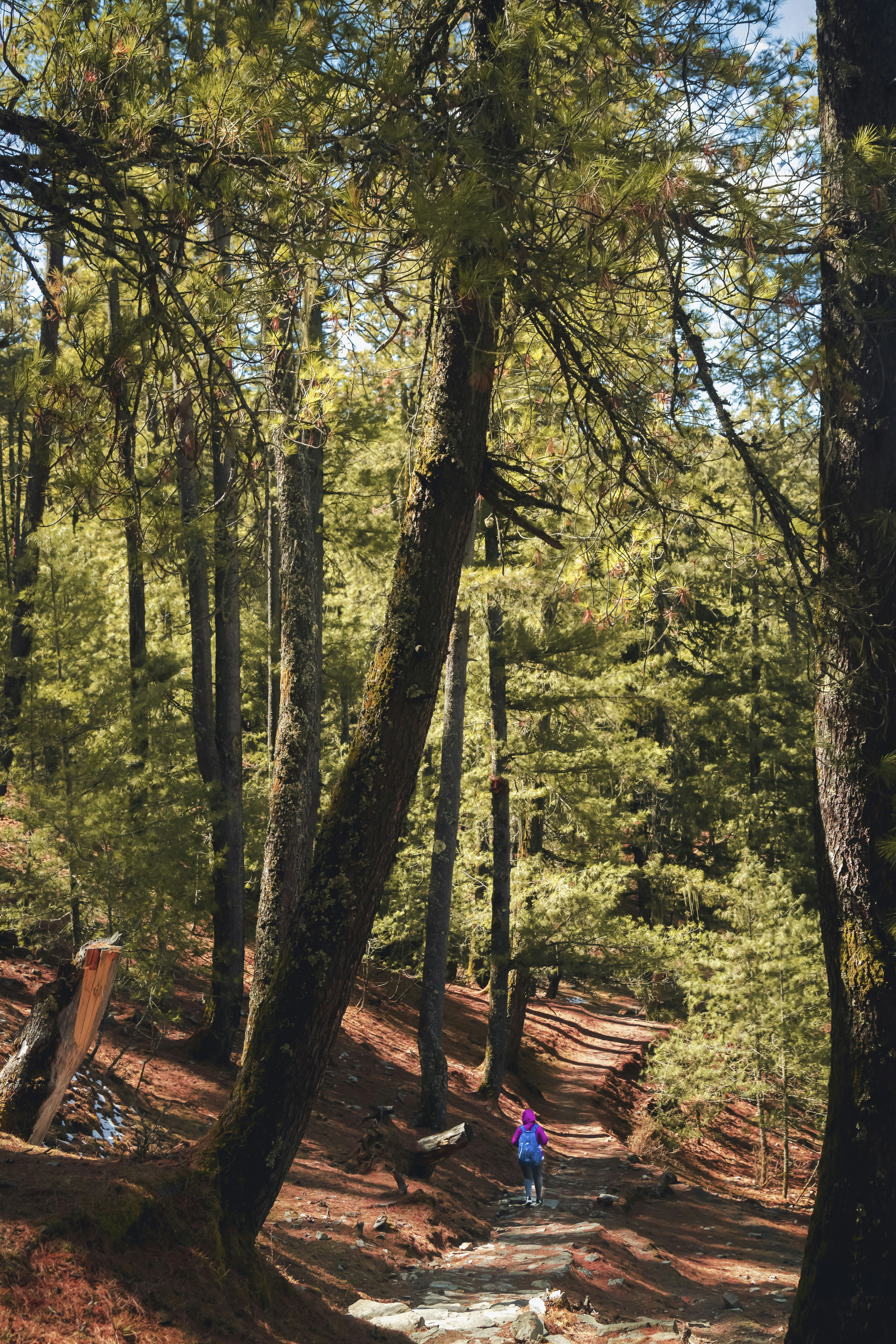 Photo by ashokjkshetri