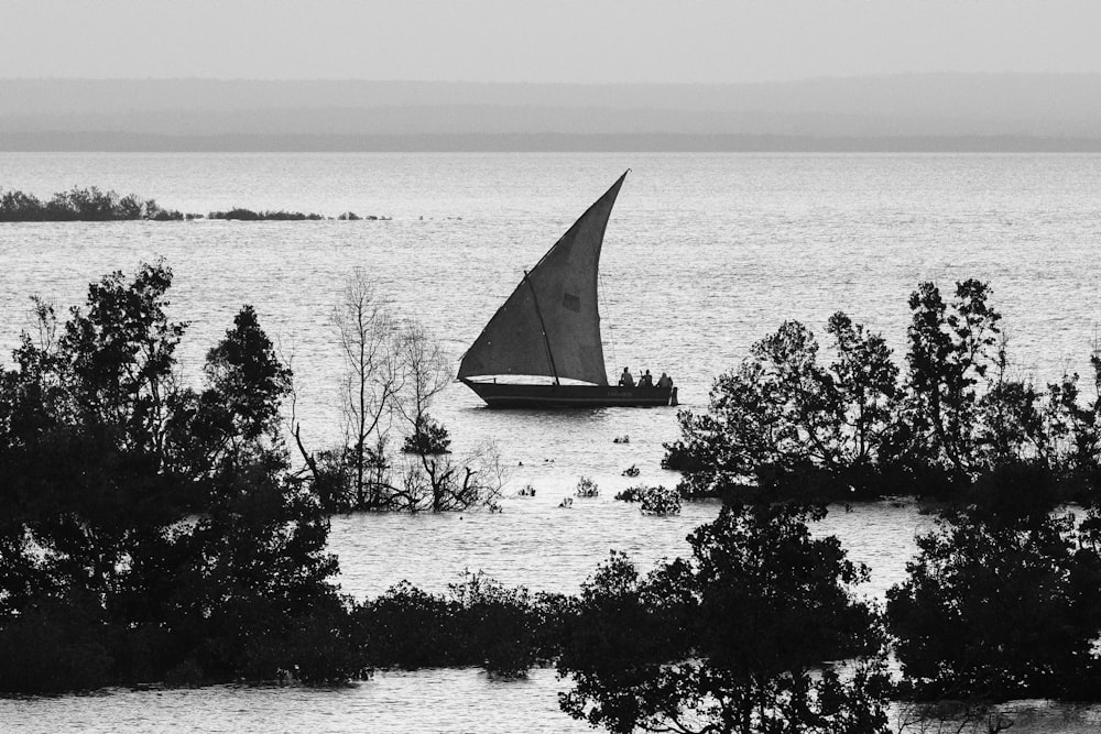 sailboat on sea during daytime