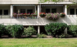 white concrete building with green grass lawn