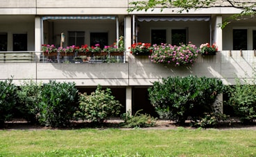 white concrete building with green grass lawn