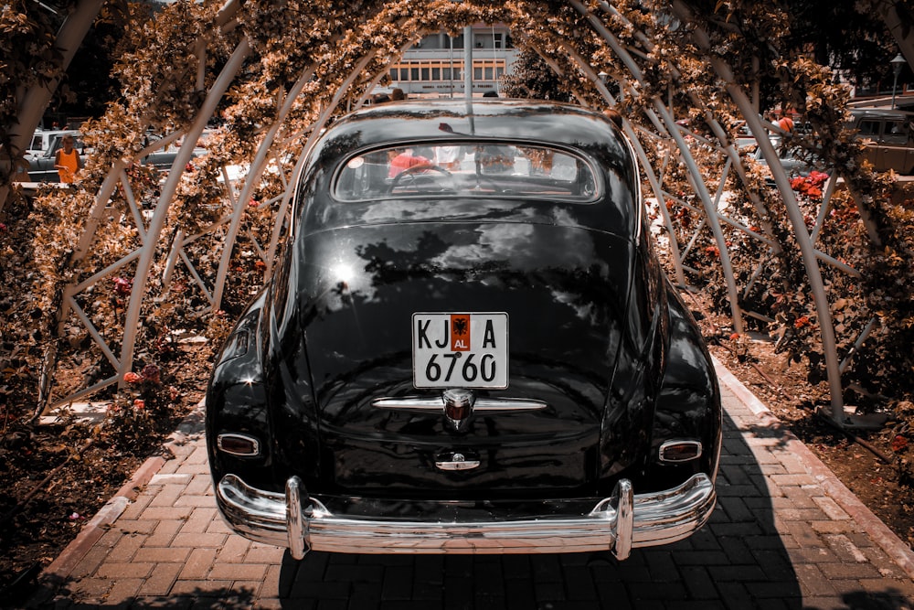 black volkswagen beetle parked on brown soil