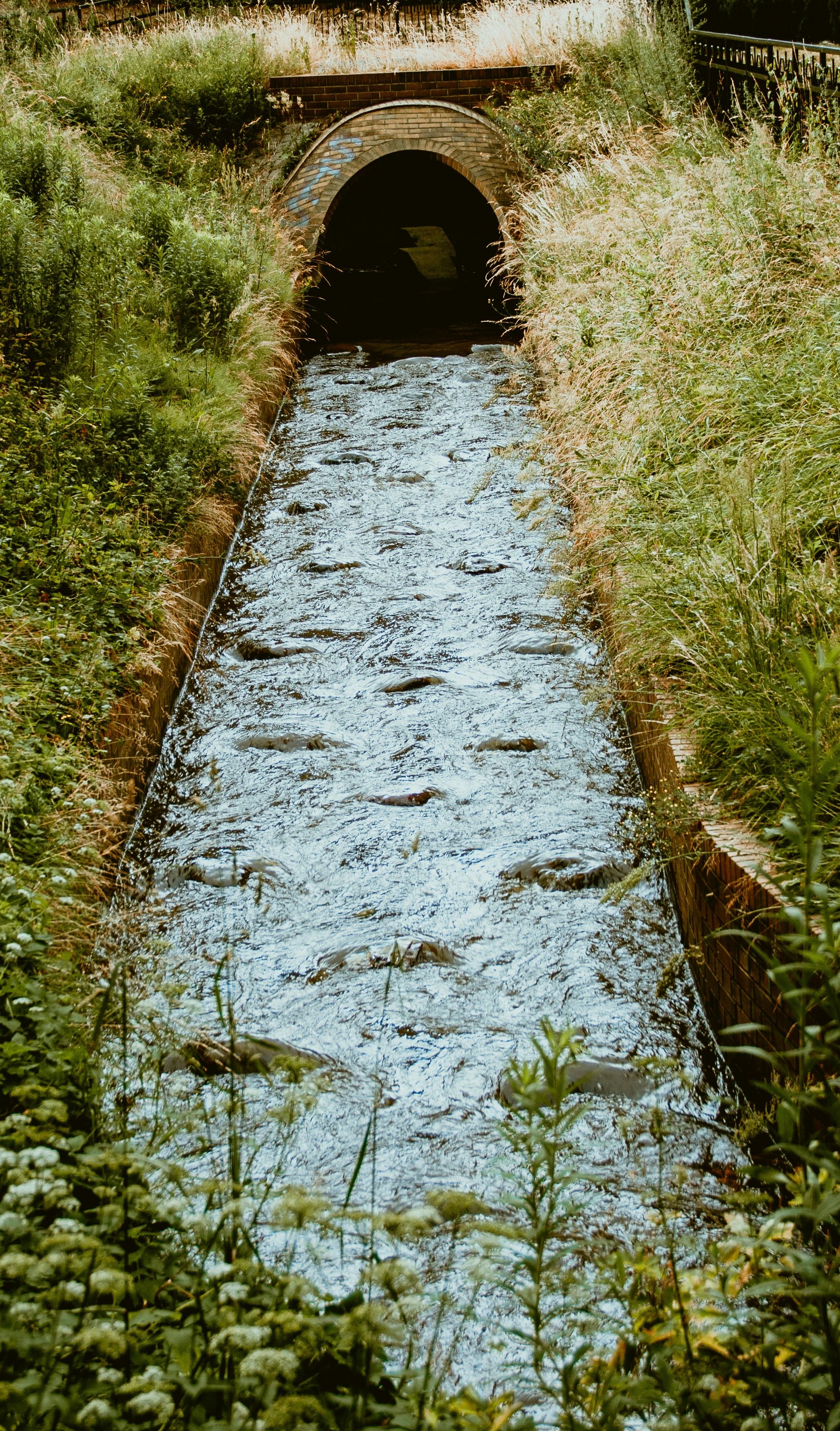 Przetarg na konserwację rowów melioracyjnych