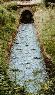 brown dirt road between green grass during daytime