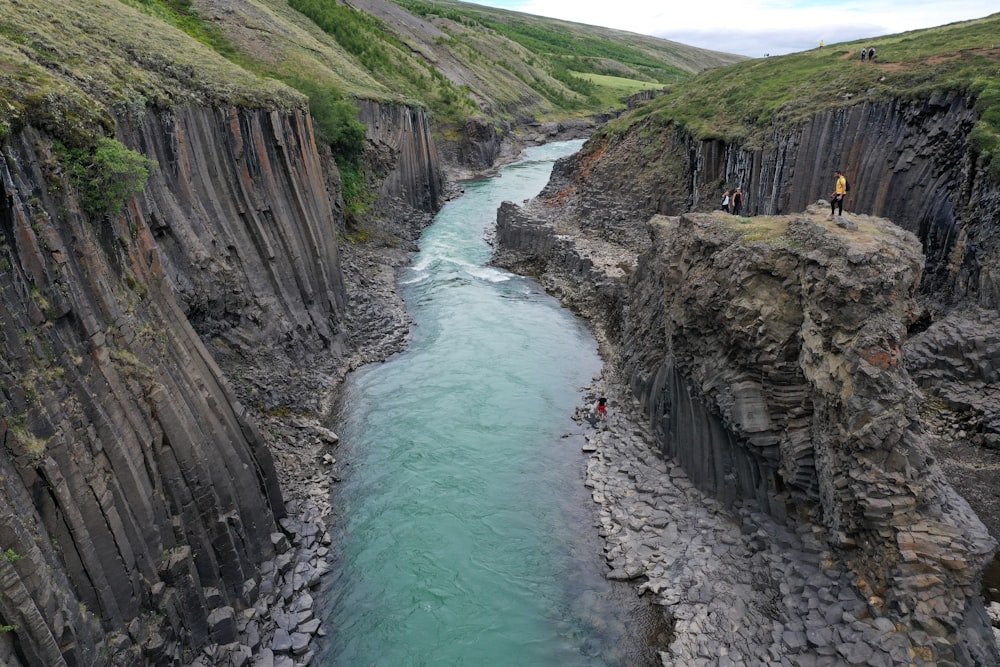 Fluss zwischen braunem und grünem Rocky Mountain tagsüber