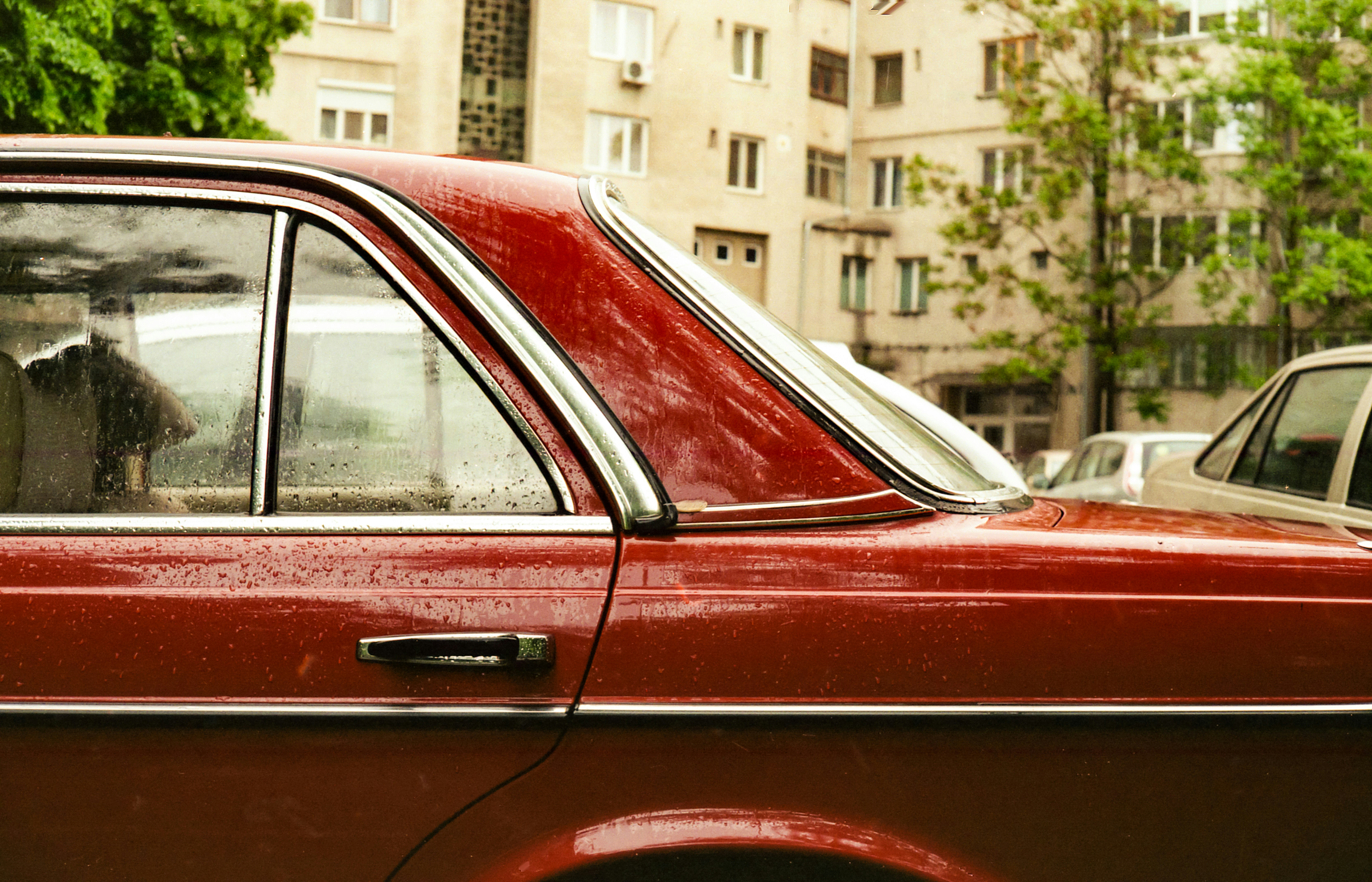 Photo by arnold_nagy