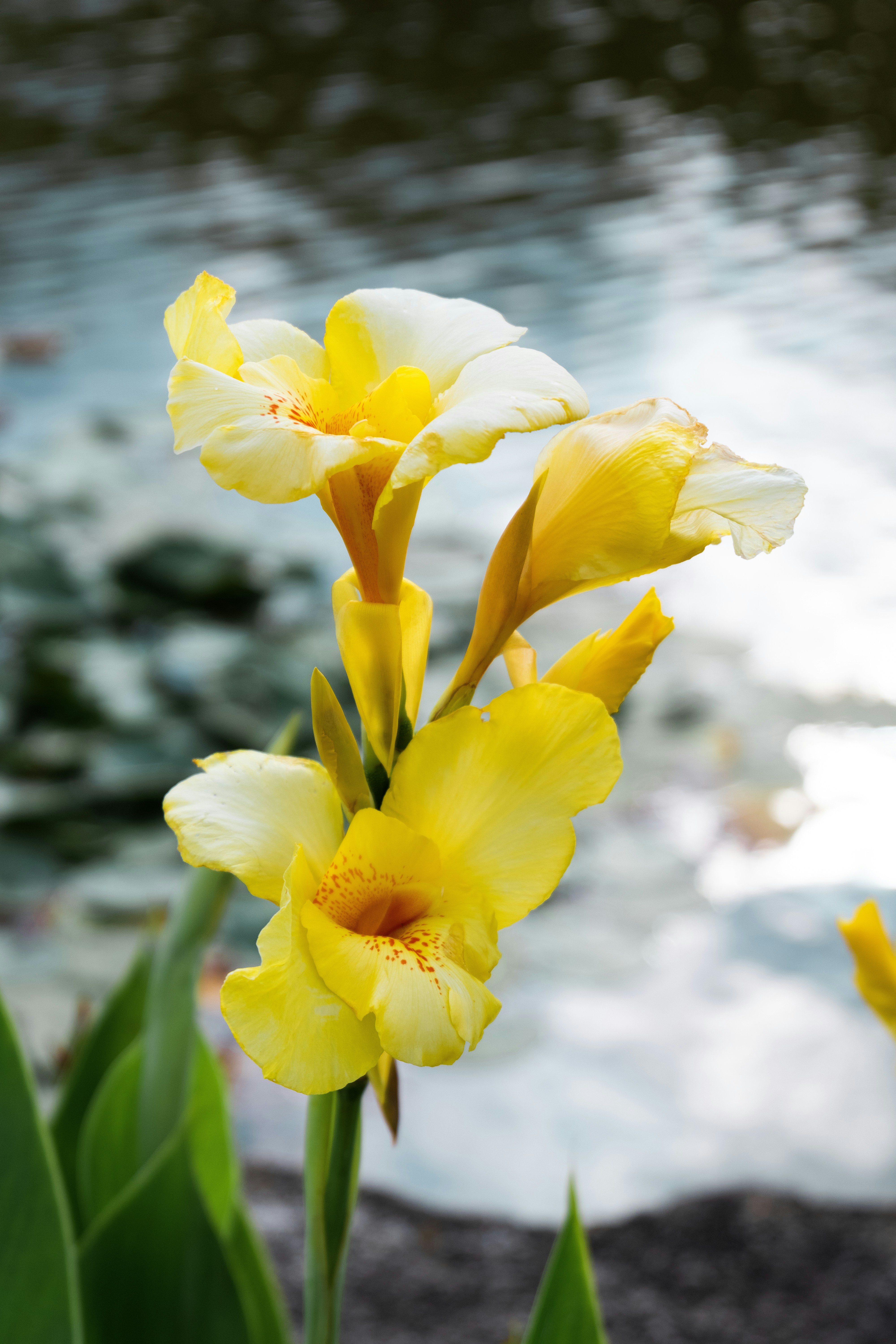 Photo by sunriseking