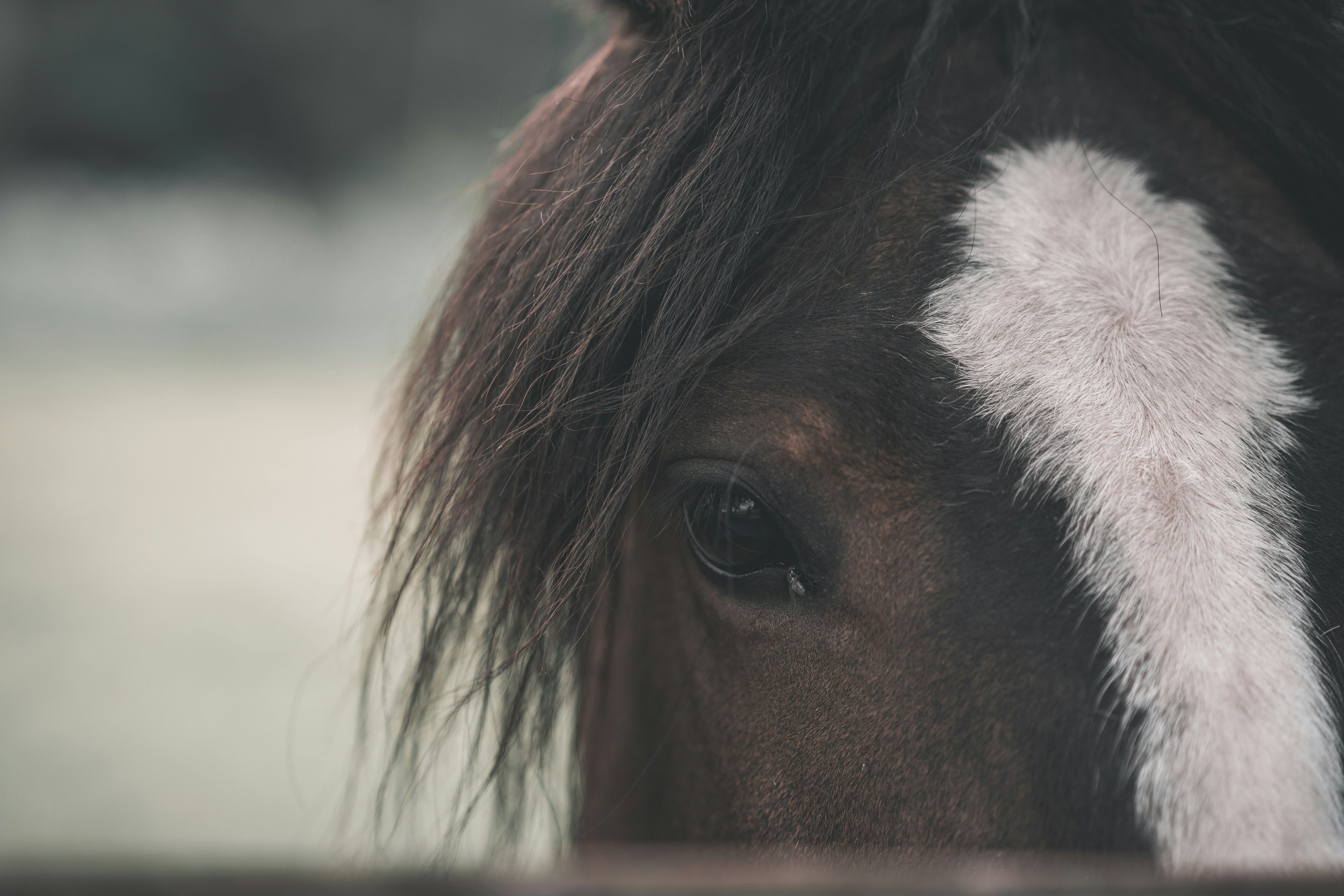 Photo by nihongraphy2