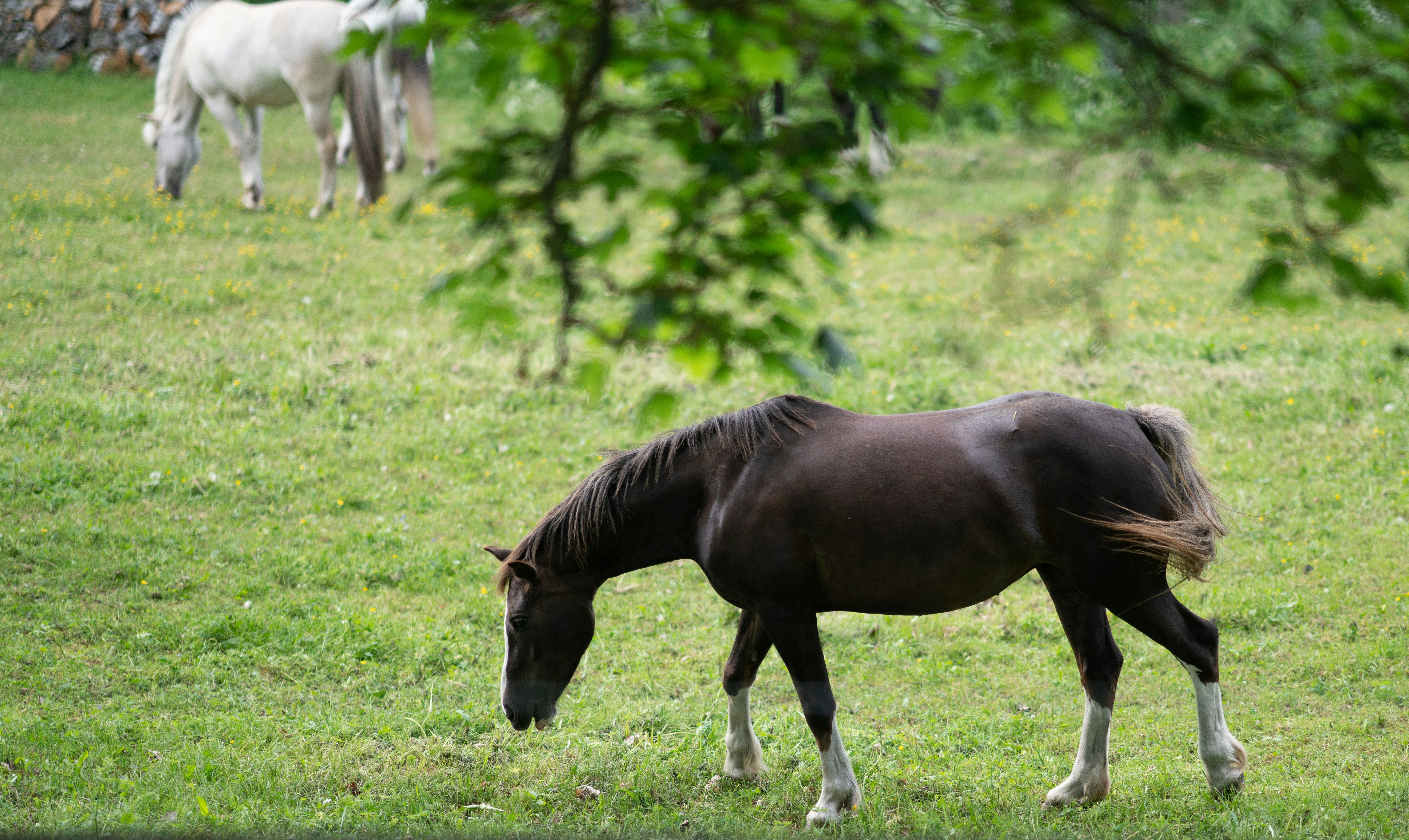 Photo by nihongraphy2