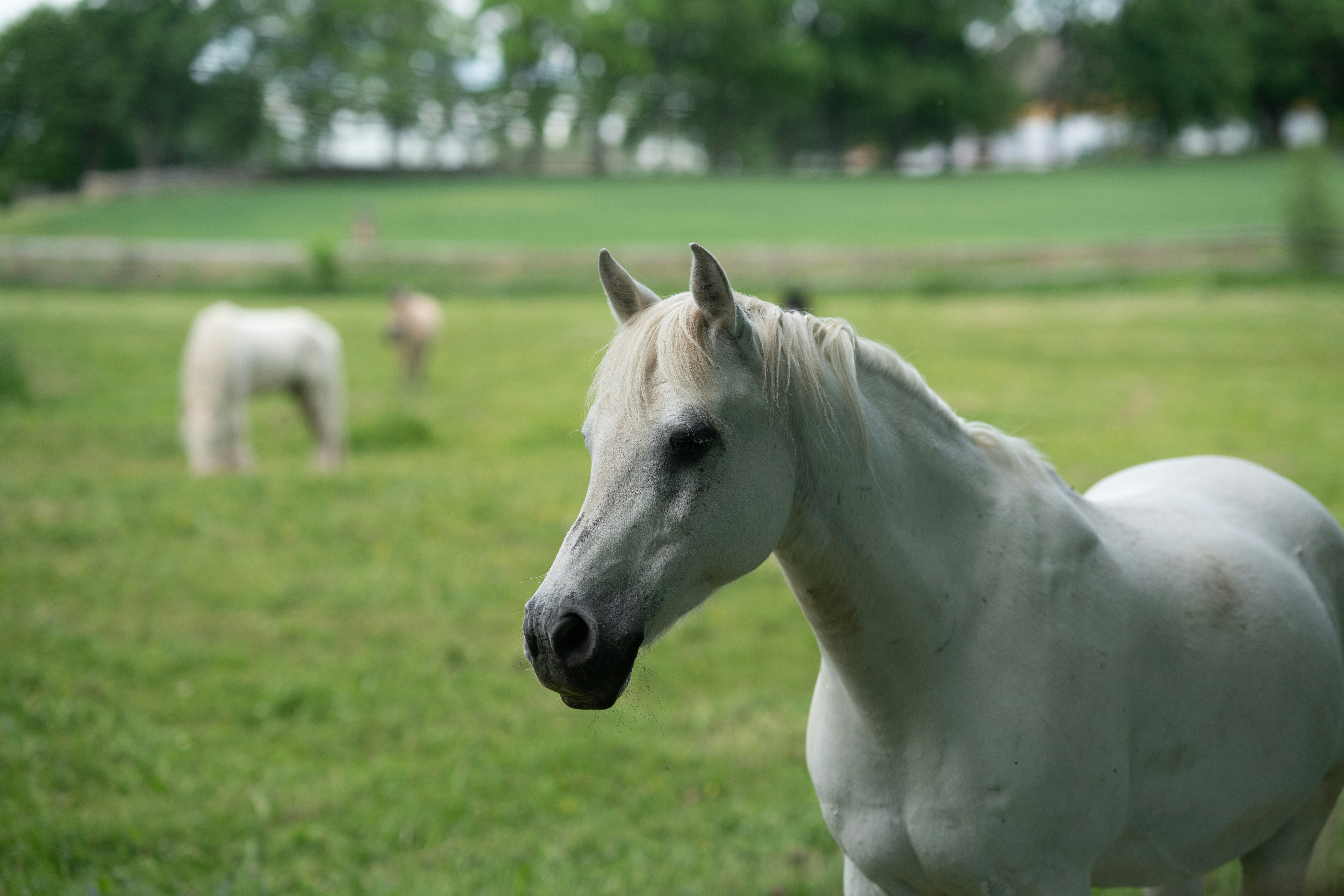 Photo by nihongraphy2