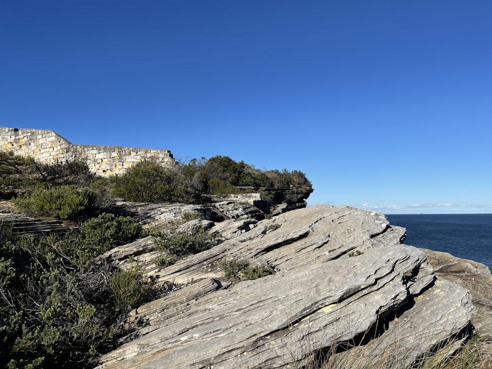 green trees on brown rock formation near body of water during daytime