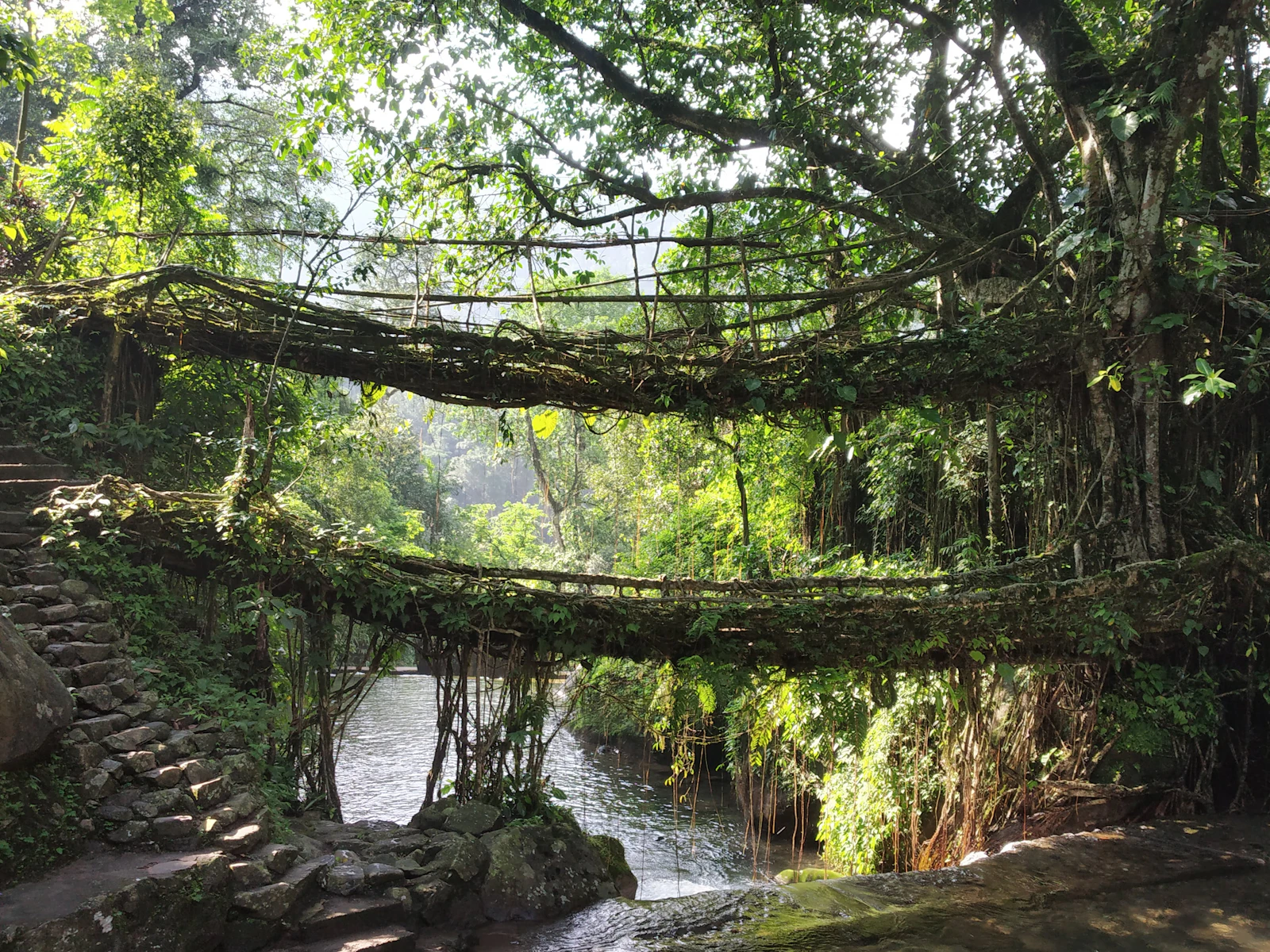 Northeast · Meghalaya & Assam