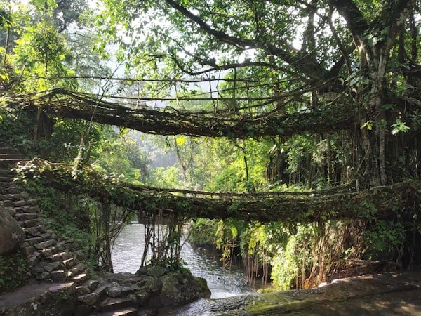 Shillong Meghalaya river valley