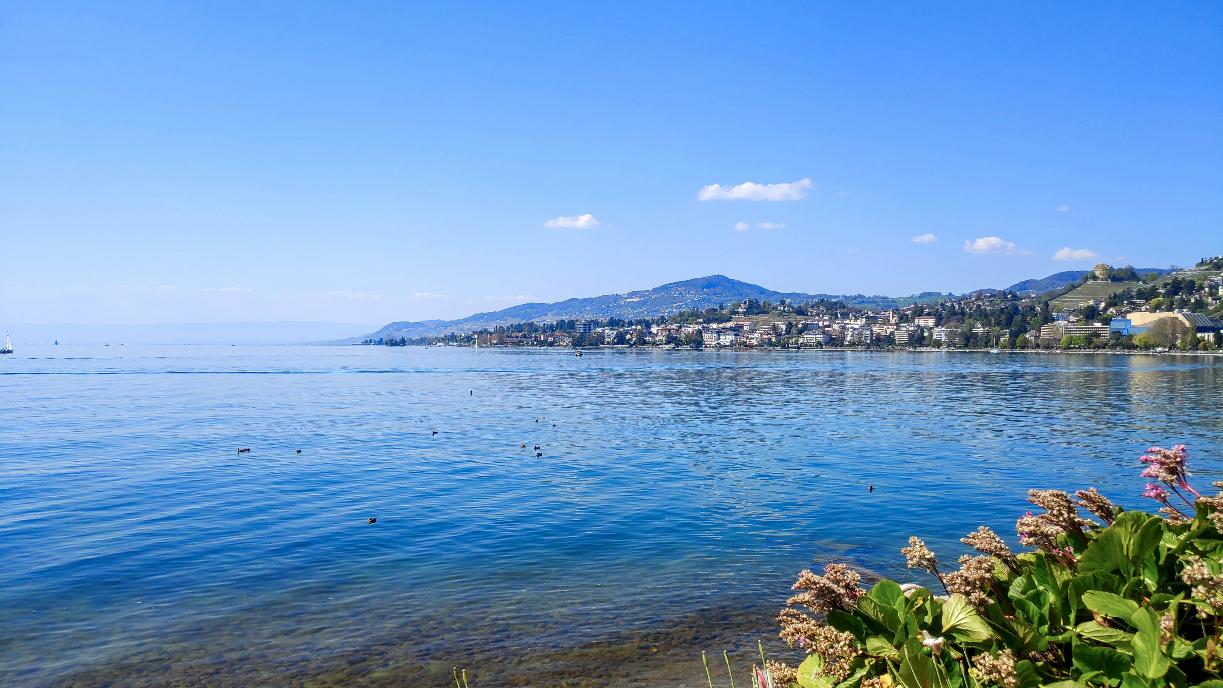 Photo by jennervesalius