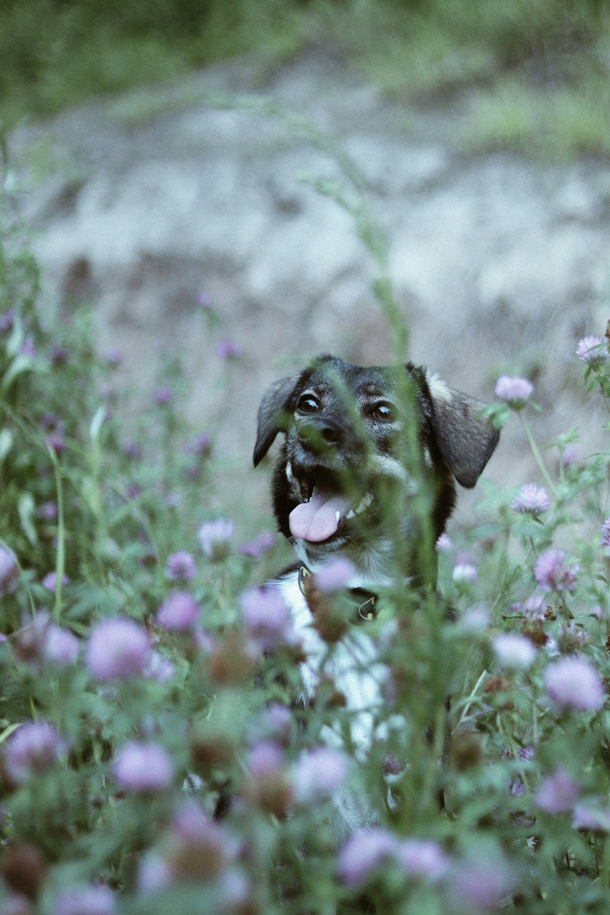 Photo by anotherxlife