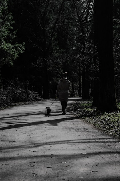 "Bellende Hunde beißen nicht" – Ein gefährlicher Mythos