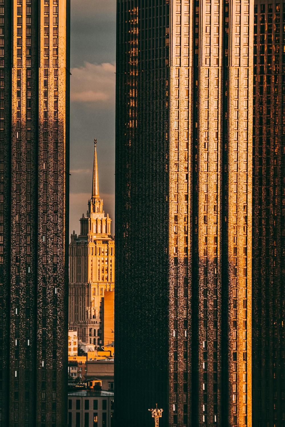 brown high rise building during night time