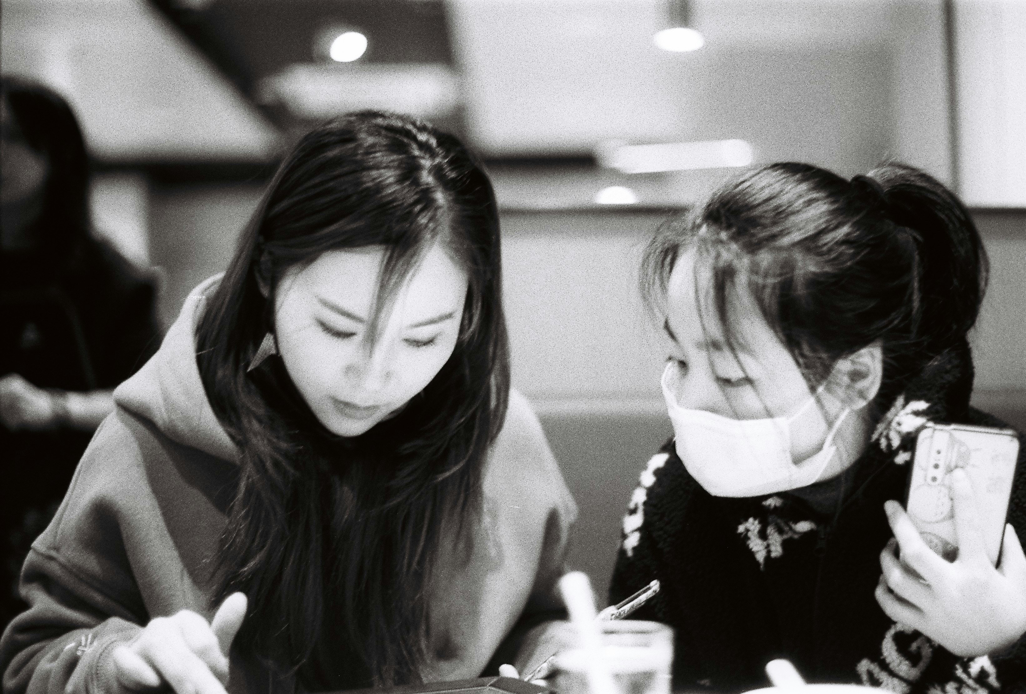 프로젝트 Y 정보 및 두 여배우의 만남으로 화제 된 기대 포인트 이미지2