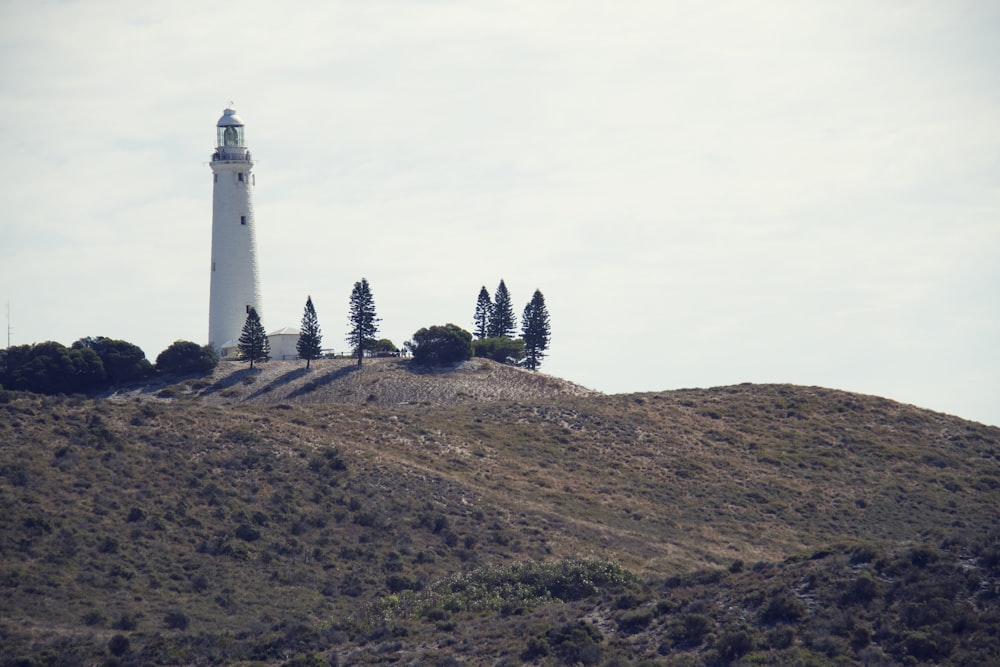 white concrete lighthouse on brown and green grass field under white sky during daytime