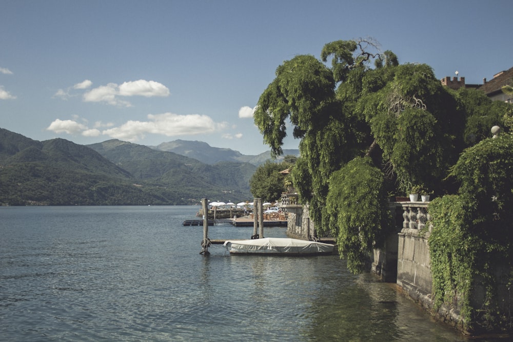 white boat on body of water near green trees during daytime