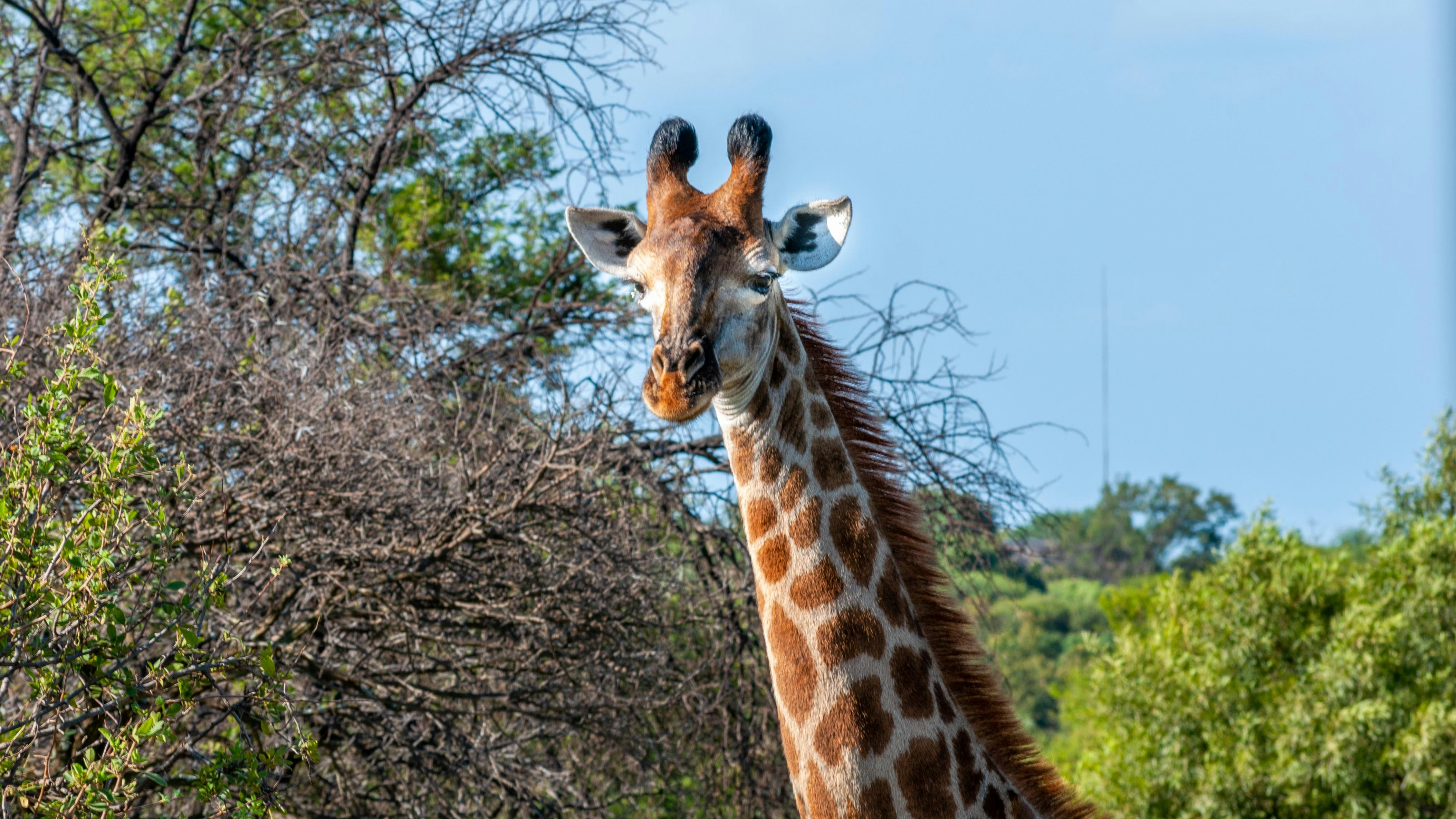 Photo by stewardesign