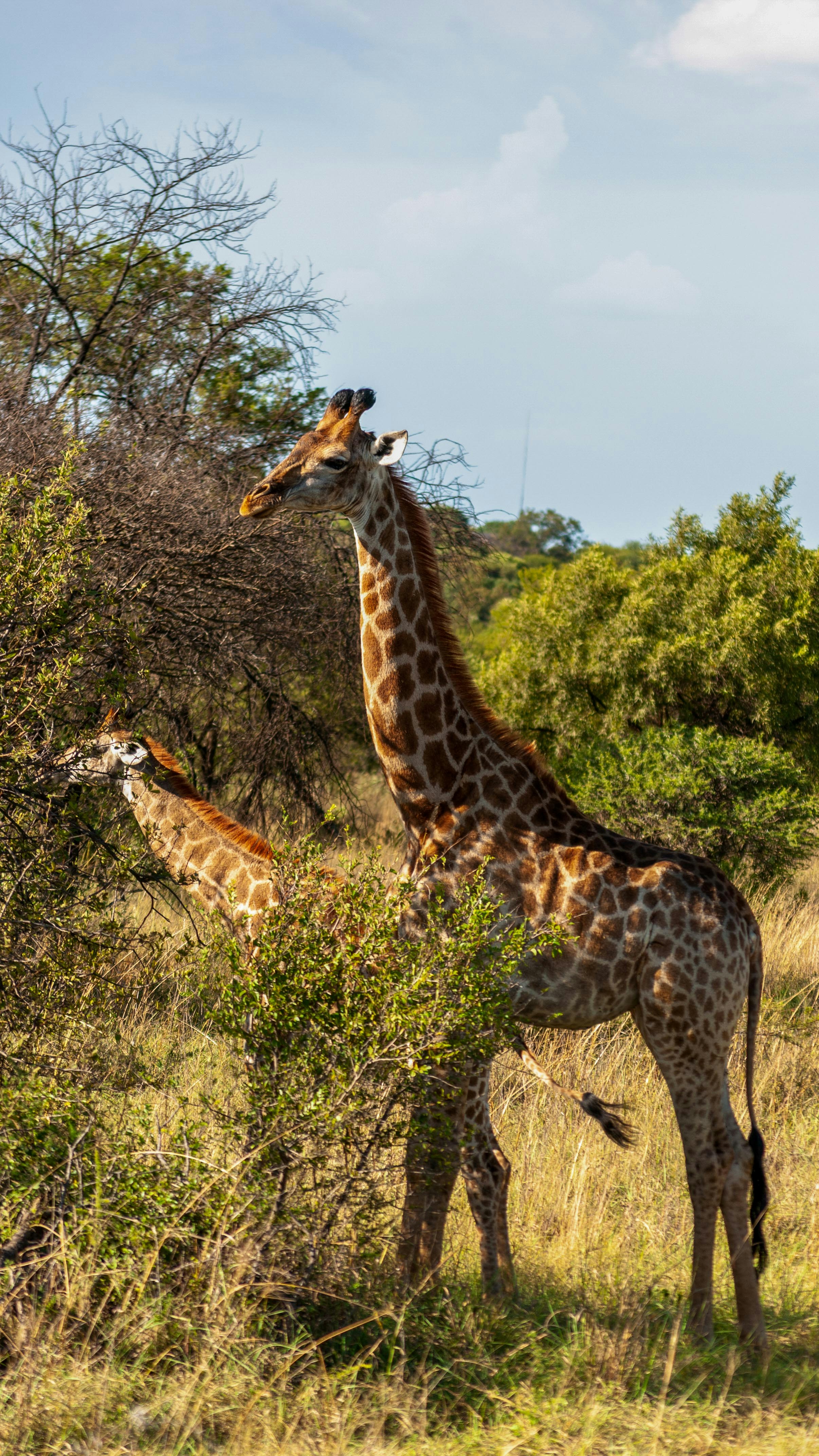 Photo by stewardesign