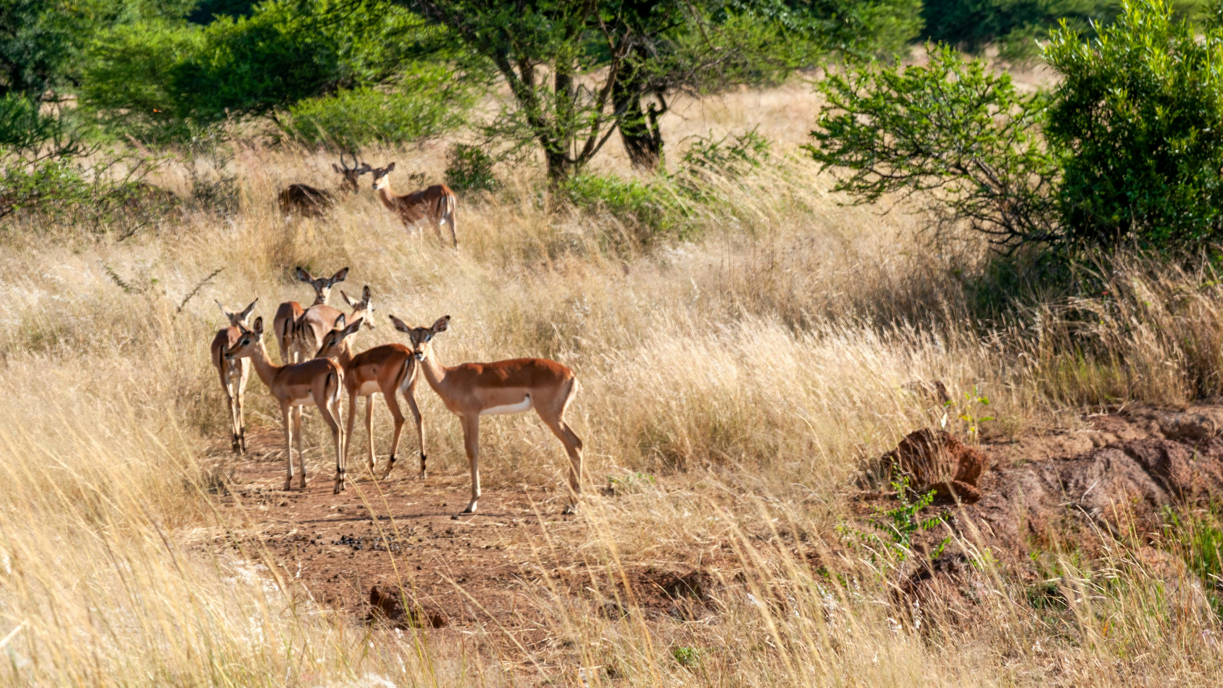 Photo by stewardesign