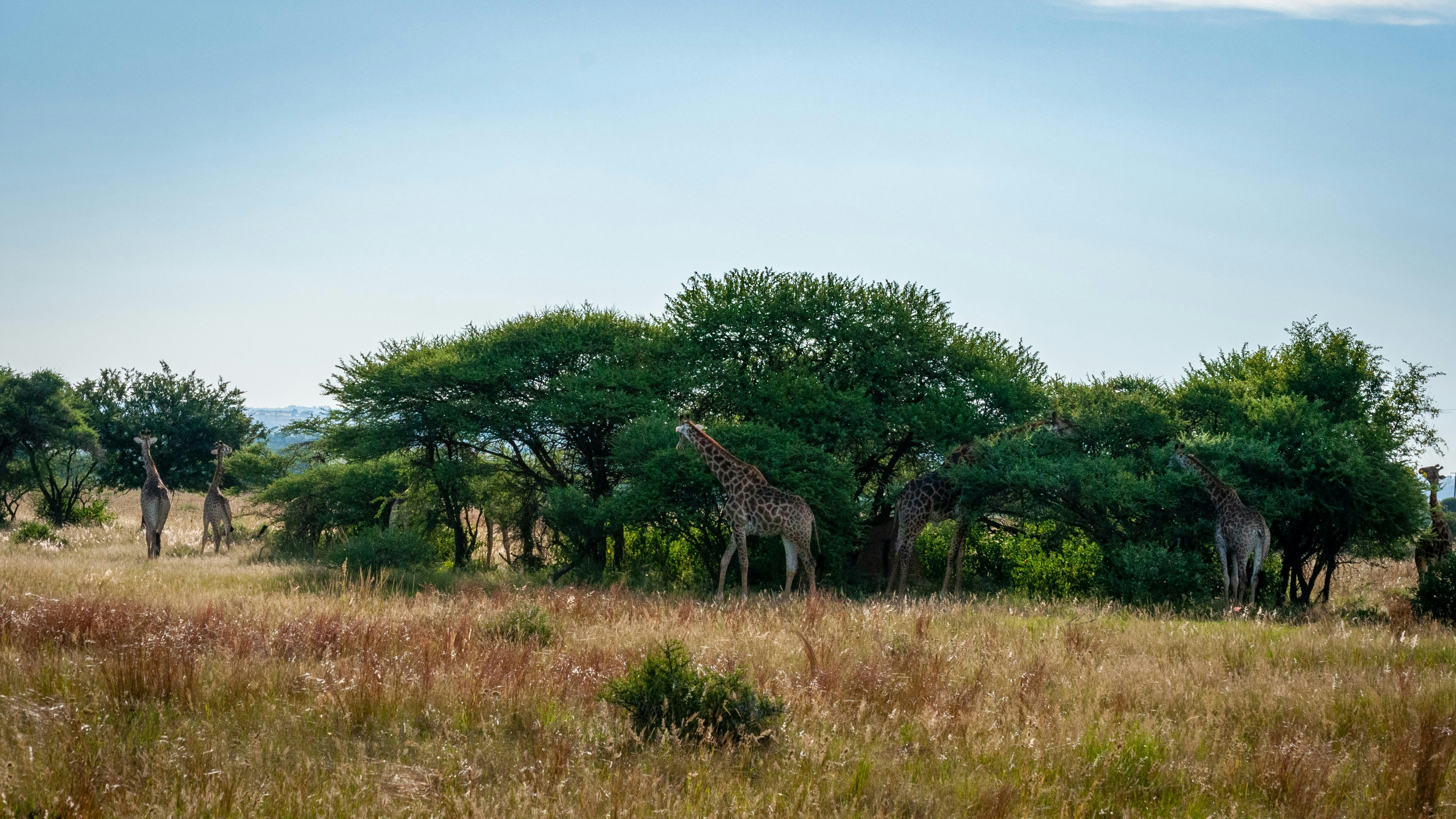 Photo by stewardesign