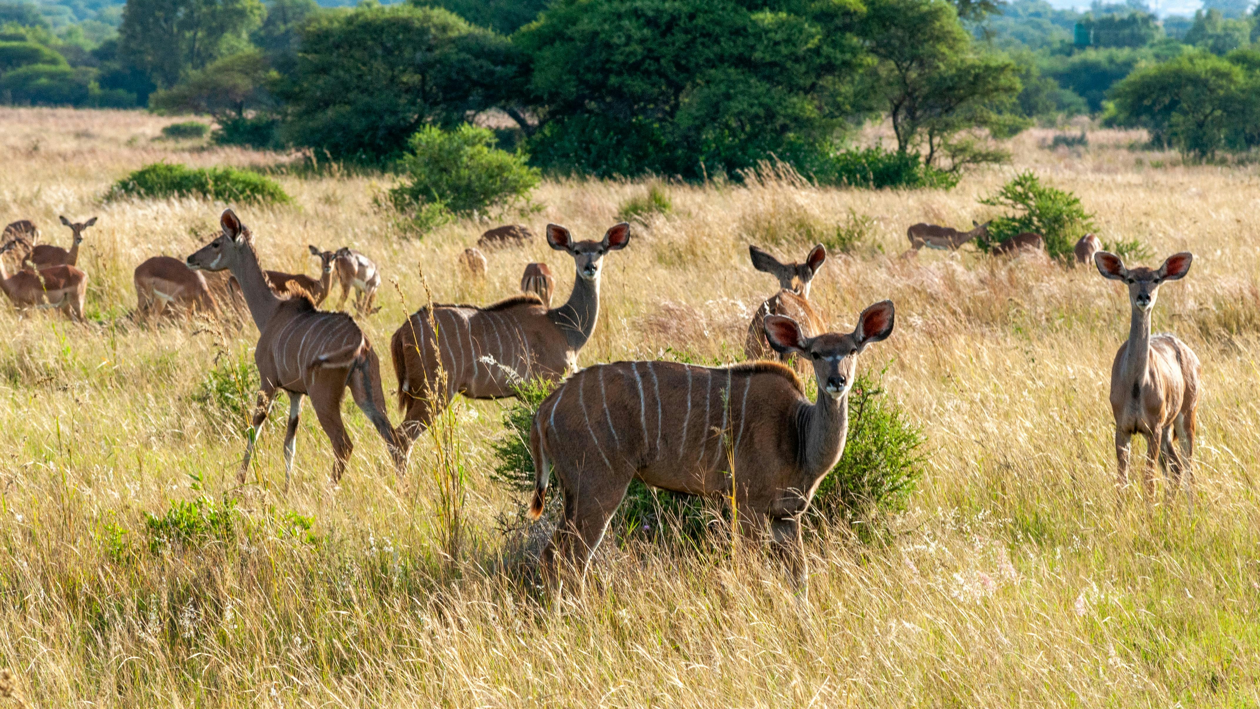 Sustainability Systems That Actually Work (image credits: unsplash)