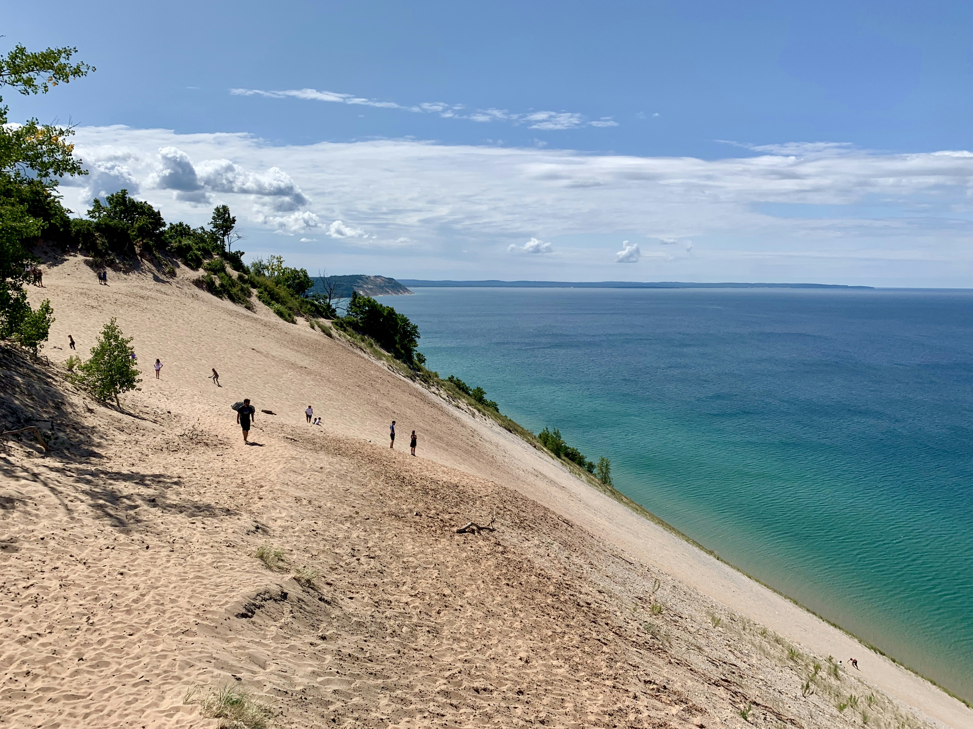people on beach during daytime