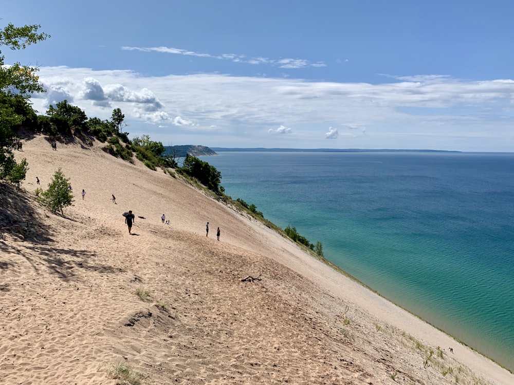 people on beach during daytime