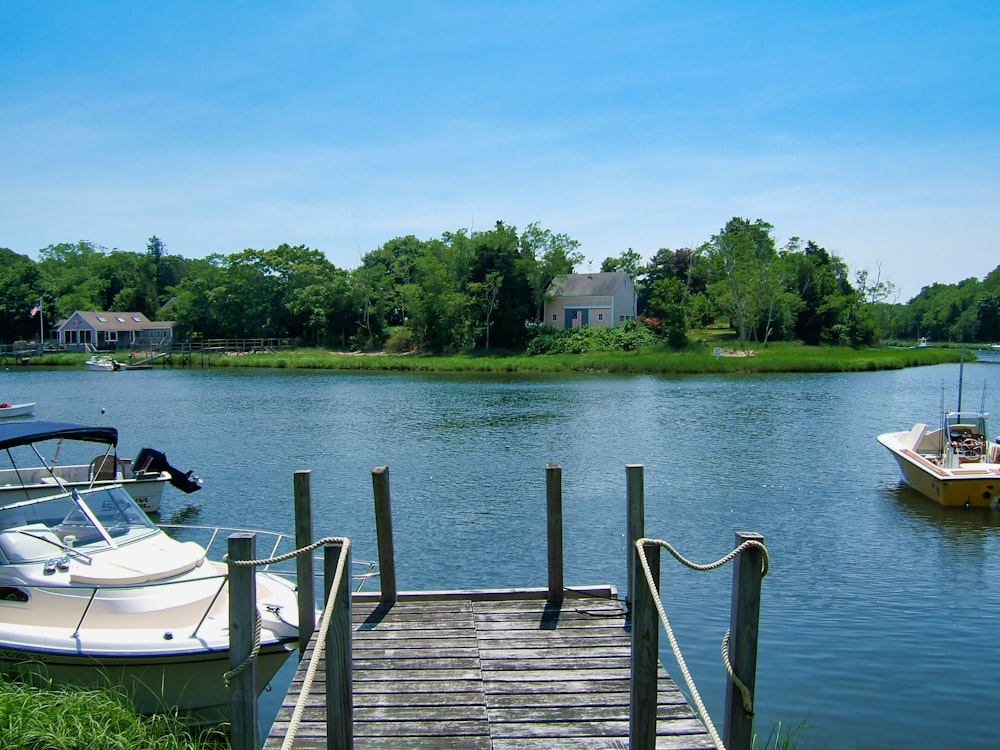 people sitting on wooden dock during daytime