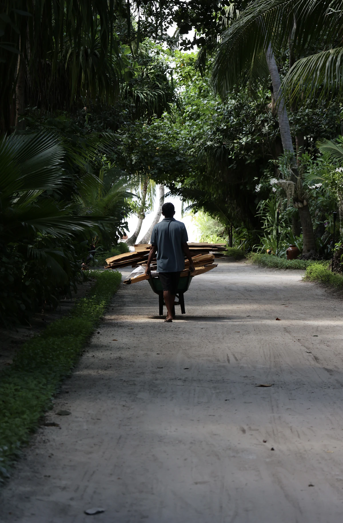 Wooden klotok boat navigating the jungle waterways of Tanjung Puting