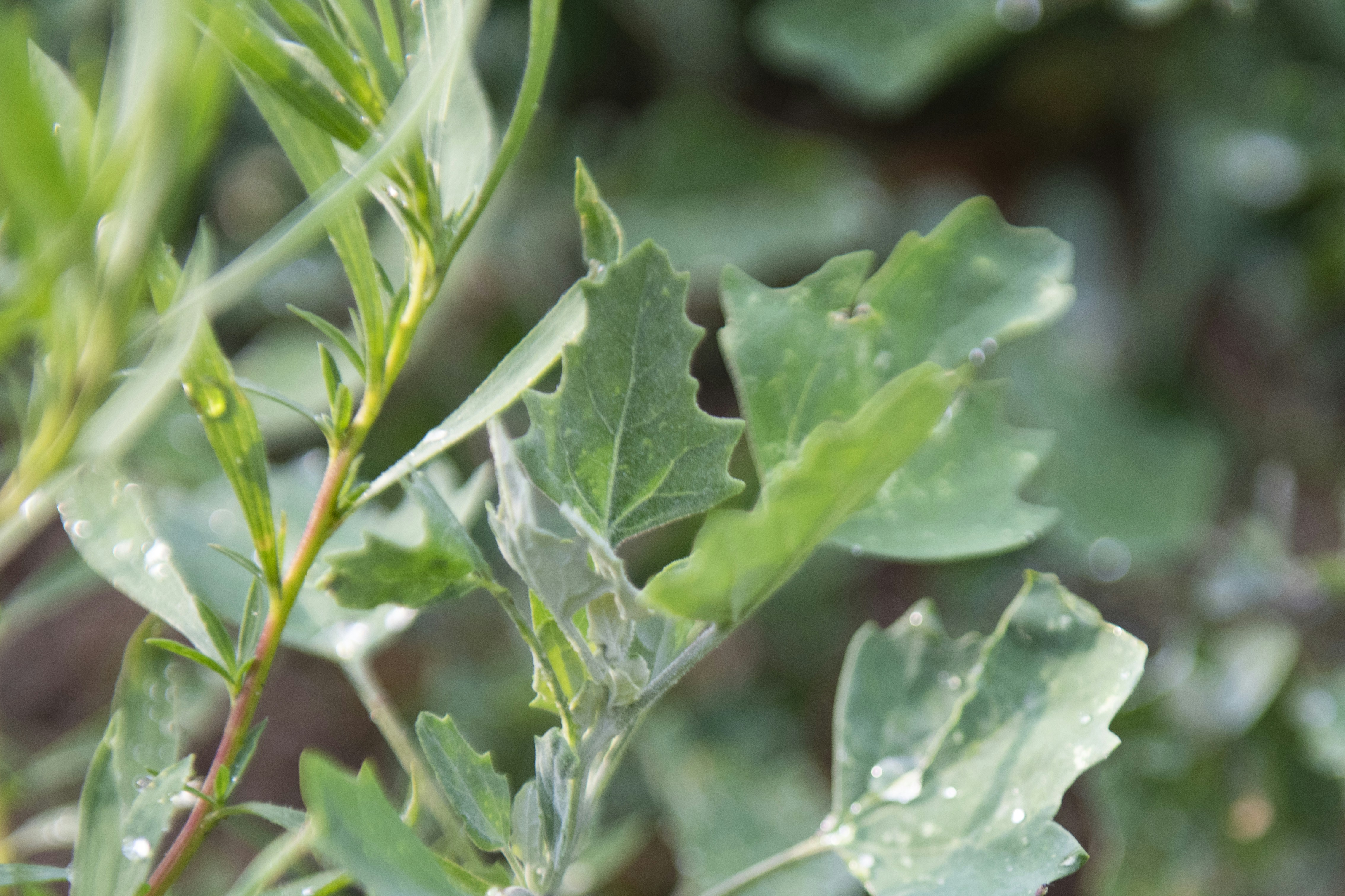 Photo by wangvictor222