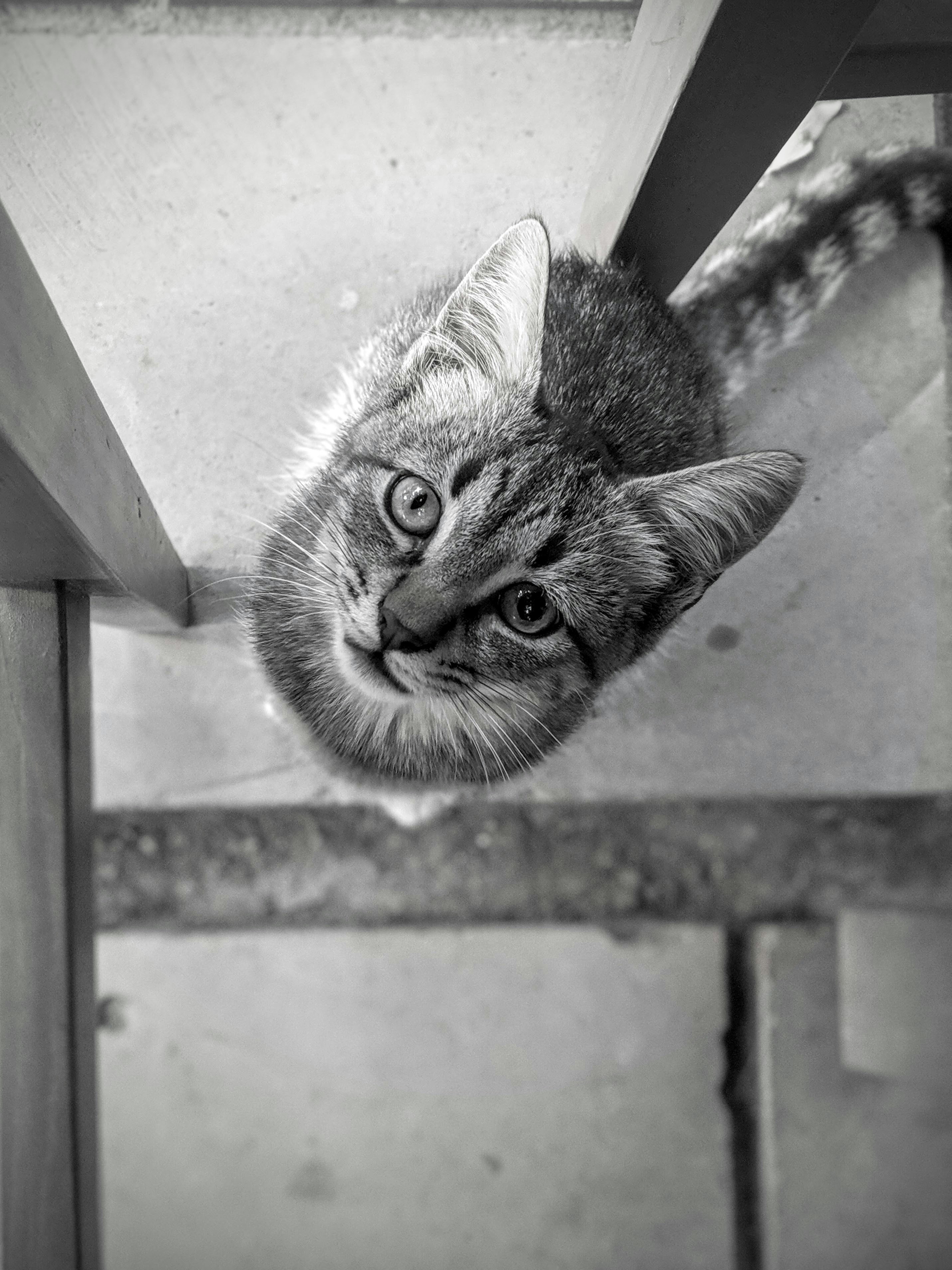 Photo by cassiopeian