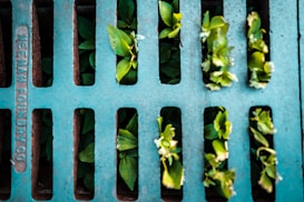 A metal grating covers a surface with several green plants growing through its slits. The grating displays the words 'NEENAH FOUNDRY CO' along the left side. The plants appear vibrant against the muted color of the metal, suggesting resilience.