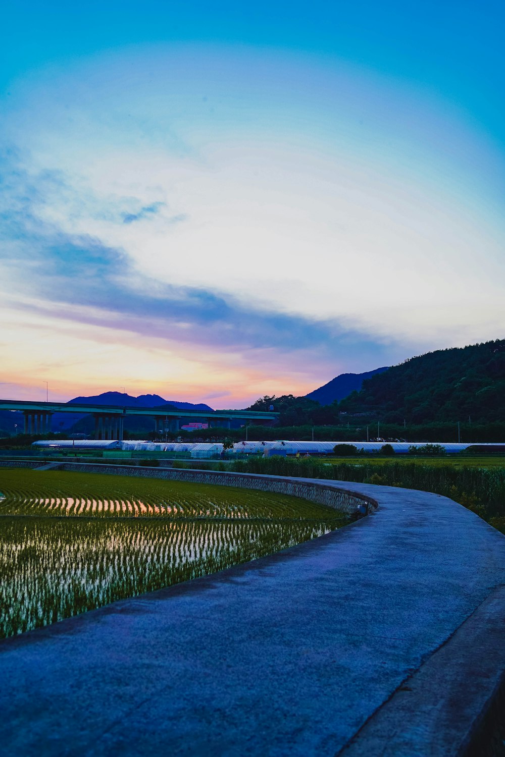 green grass field near body of water during sunset