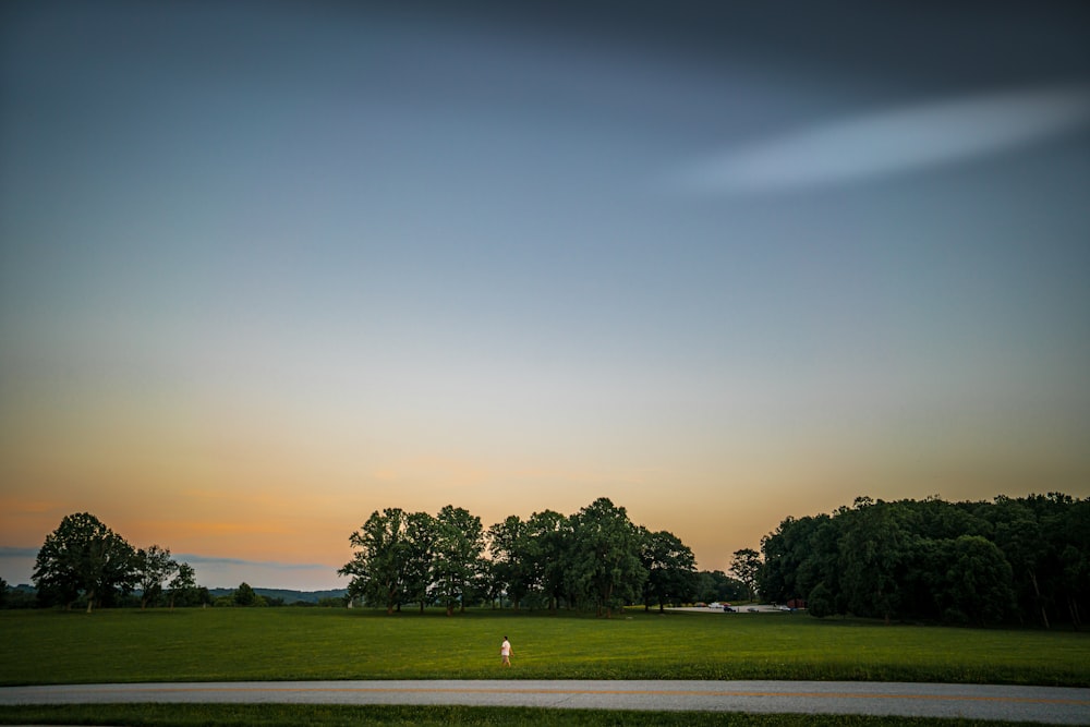 green trees on green grass field under blue sky during daytime