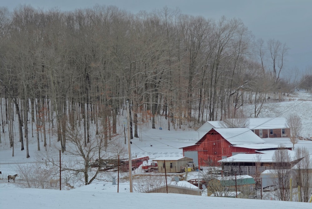 red wooden house on snow covered ground