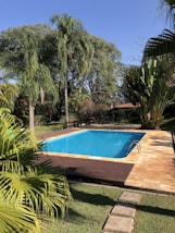 blue swimming pool surrounded by green palm trees during daytime