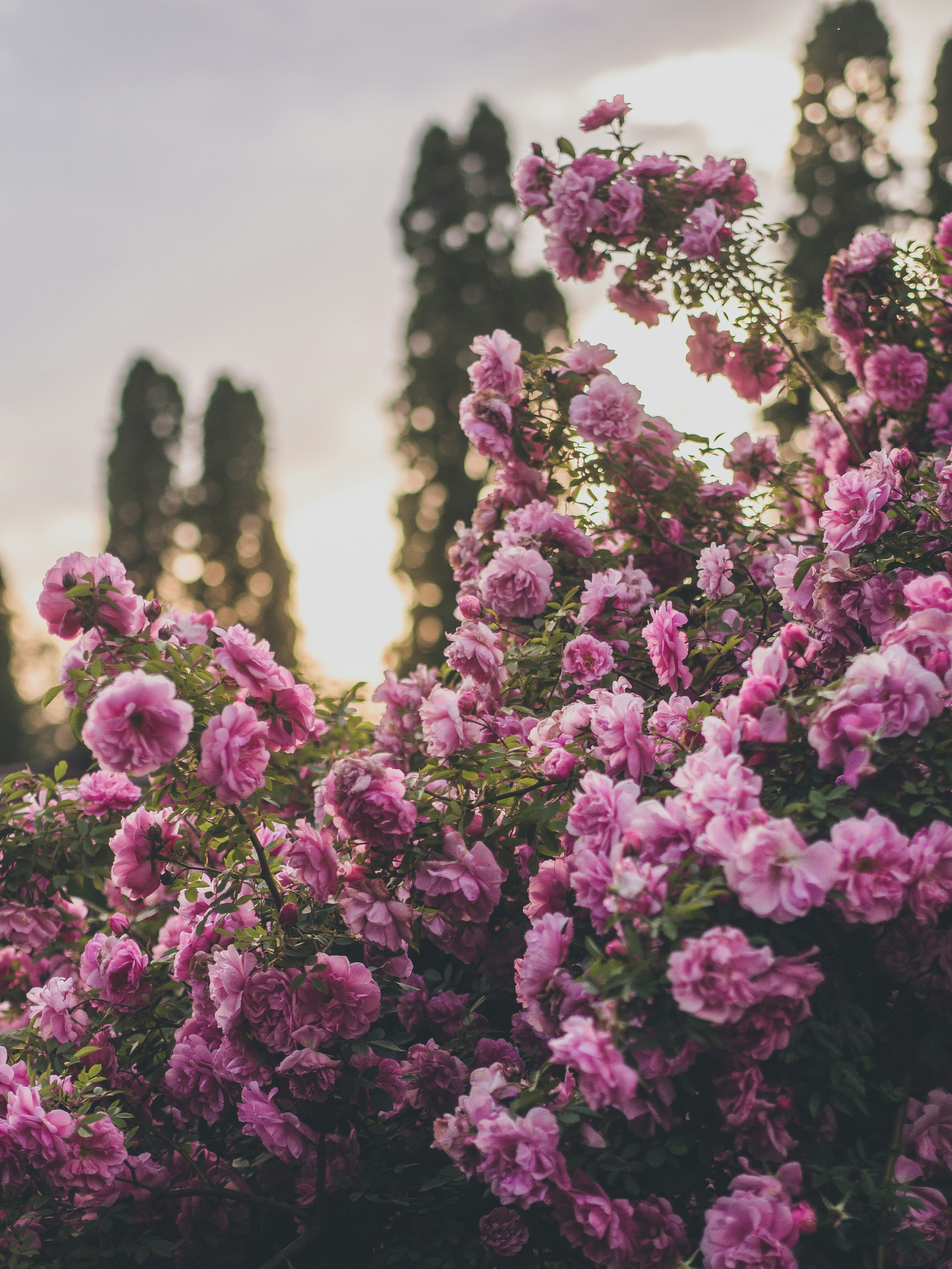 Photo by marta_alexandra